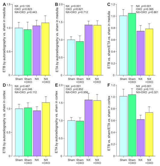 Ijms Free Full Text Unfavorable Reduction In The Ratio Of Endothelin B To A Receptors In Experimental 5 6 Nephrectomy And Adenine Models Of Chronic Renal Insufficiency Html