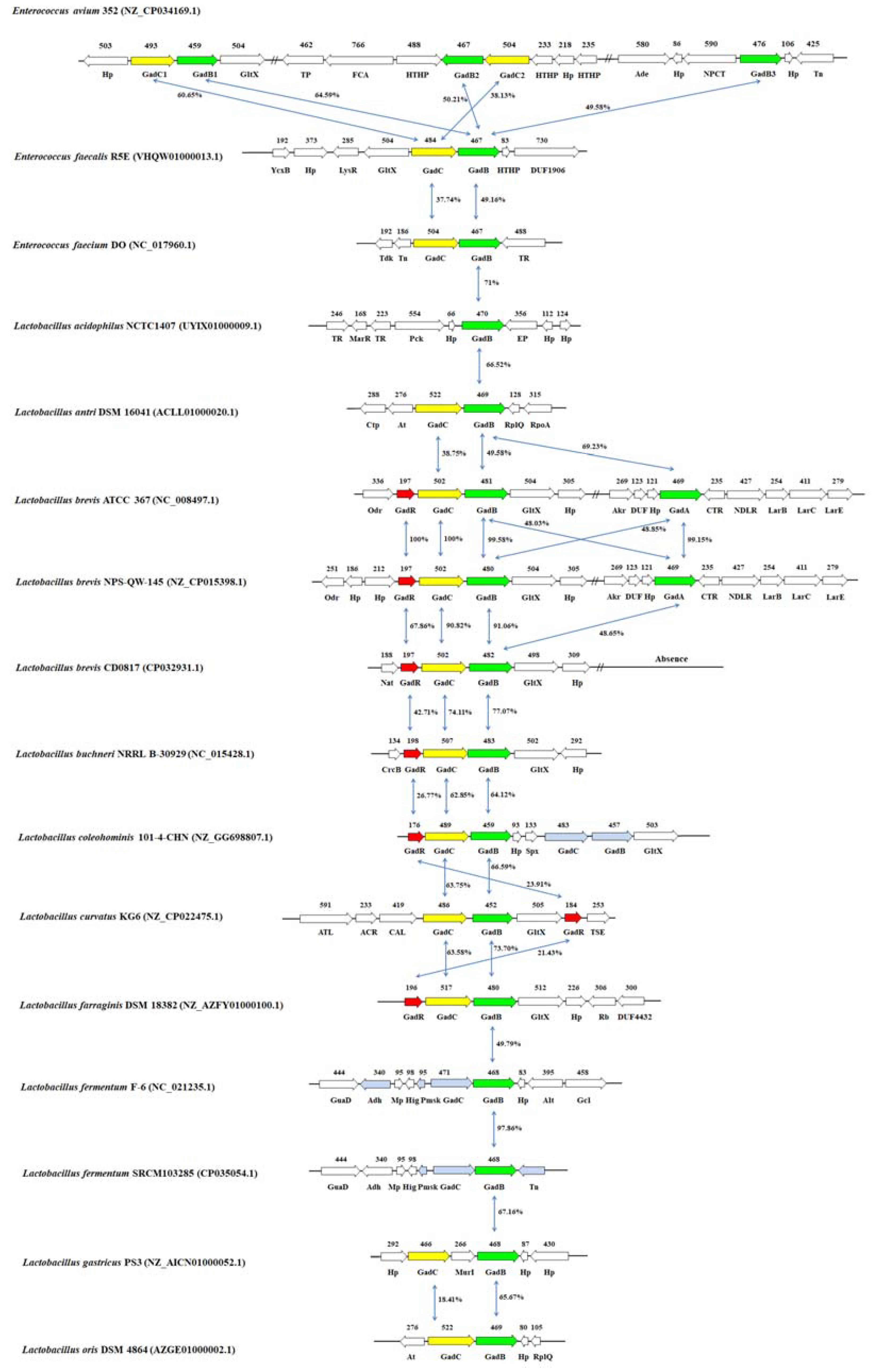 Ijms Free Full Text Production Of Gamma Aminobutyric Acid From Lactic Acid Bacteria A Systematic Review Html