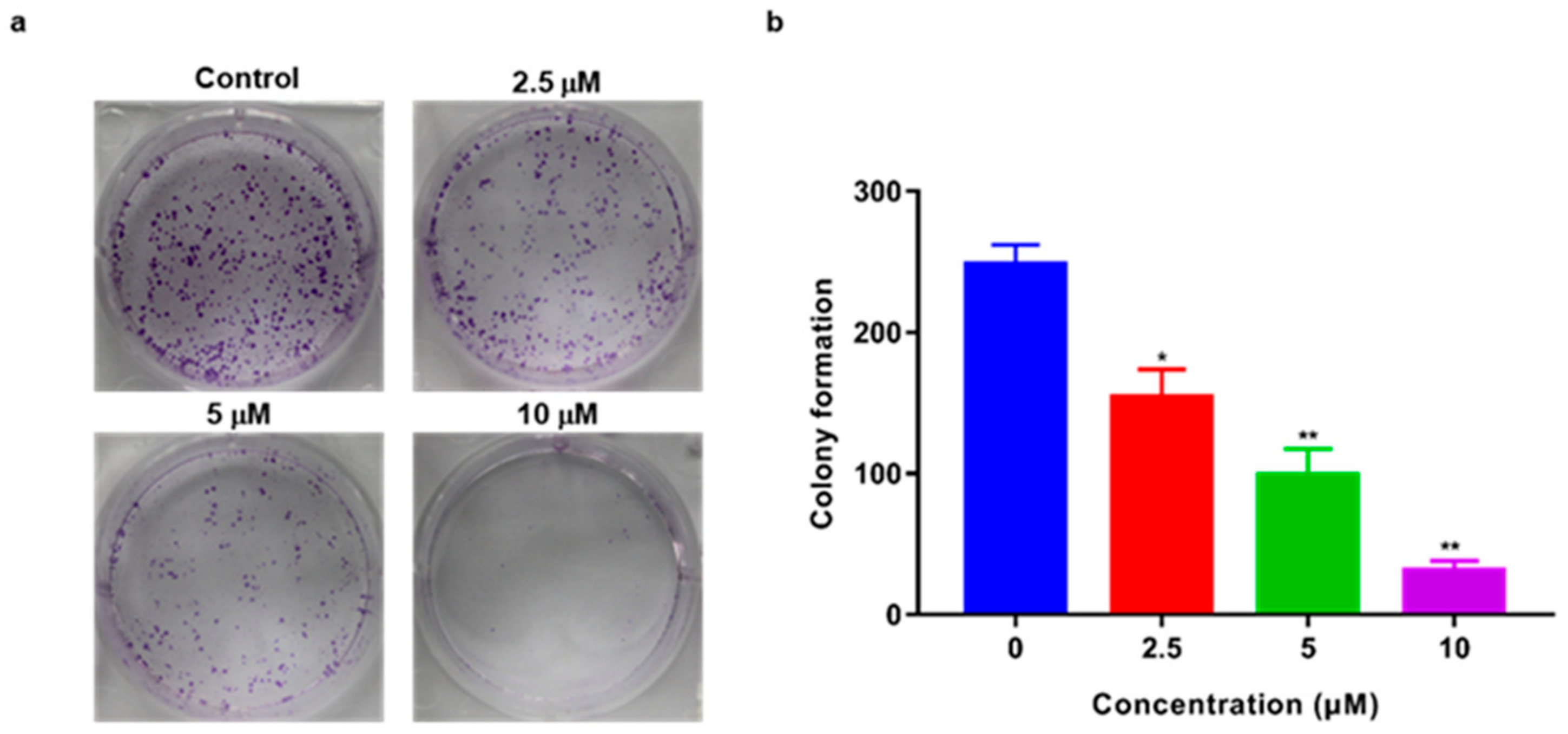 Ijms 21 01038 g002 Ijms 21 01038 g002