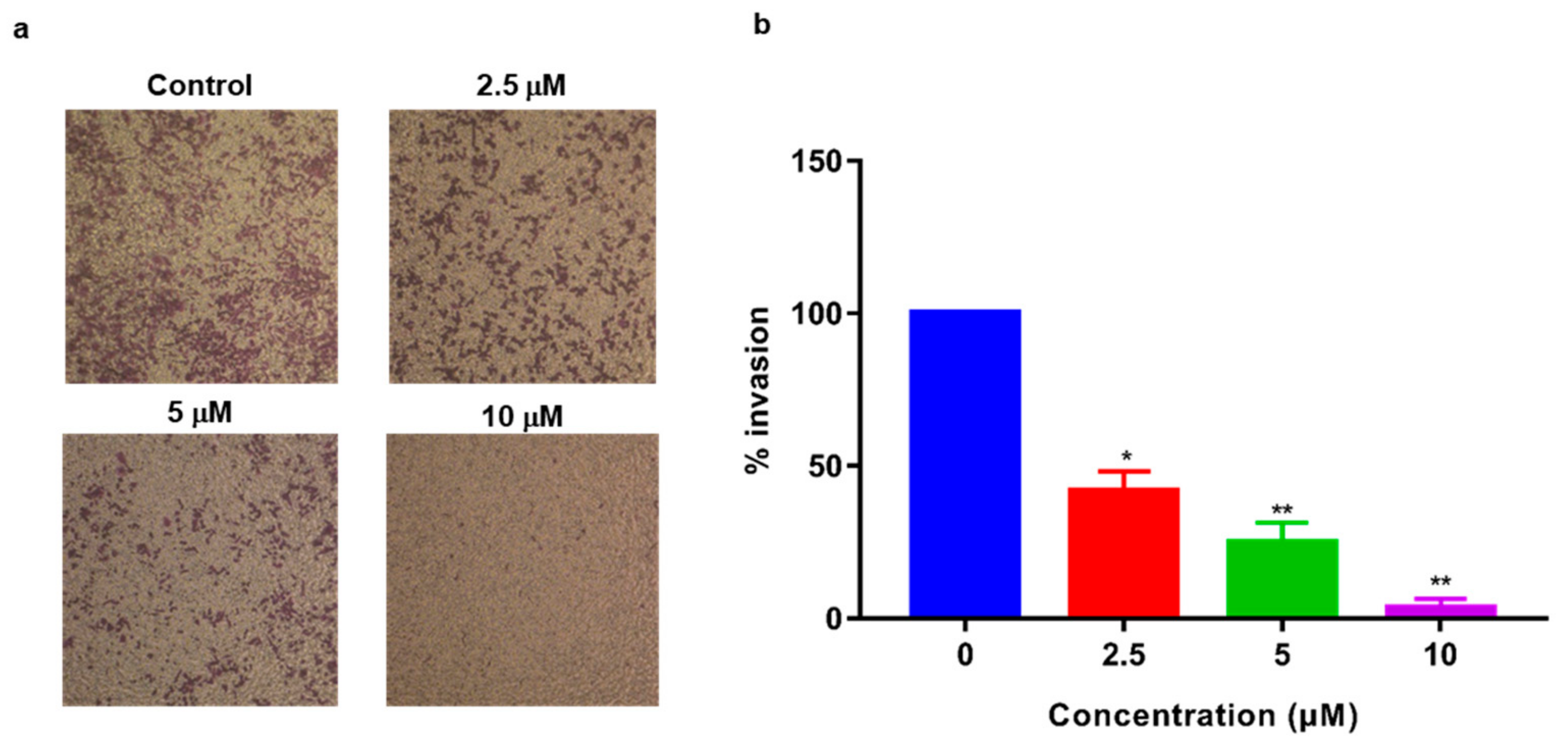 Ijms 21 01038 g004 Ijms 21 01038 g004