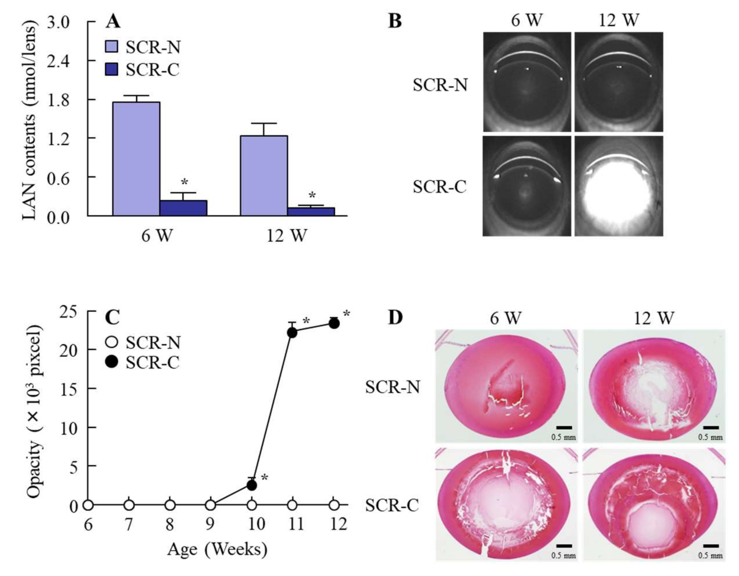 Ijms Free Full Text The Intravitreal Injection Of Lanosterol