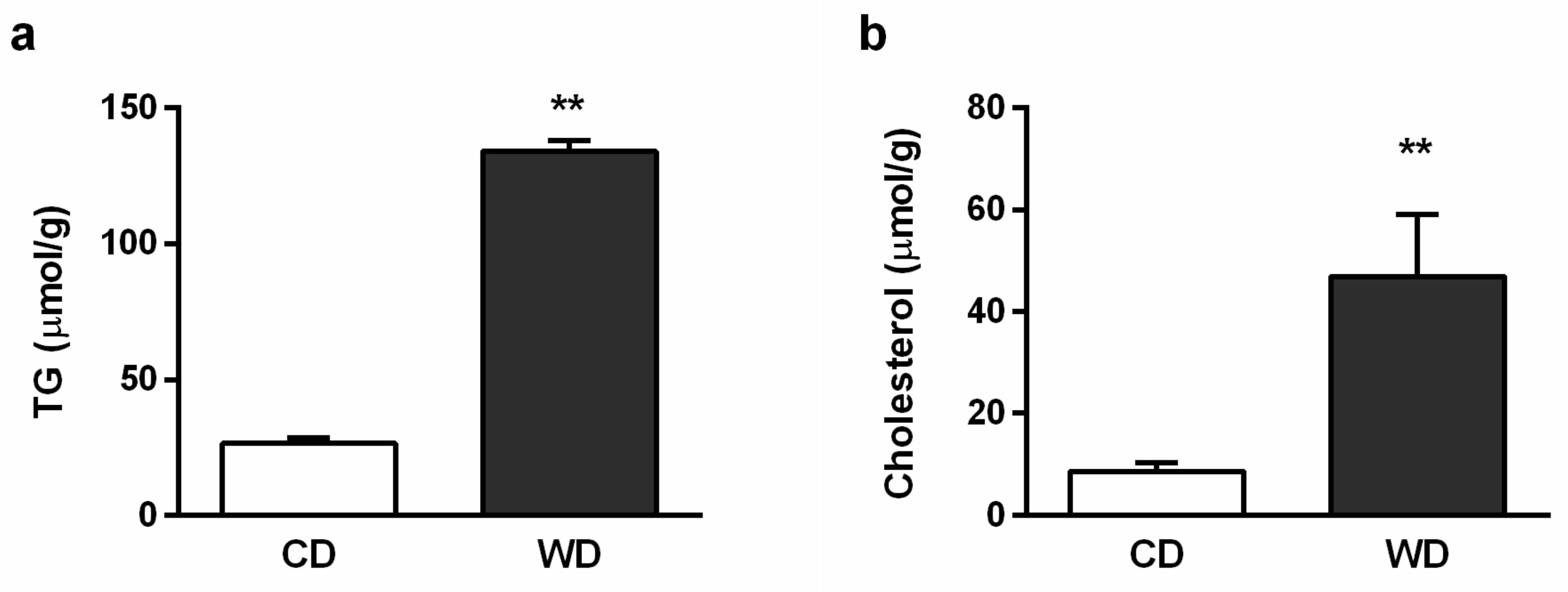 Ijms 21 01101 g003 Ijms 21 01101 g003