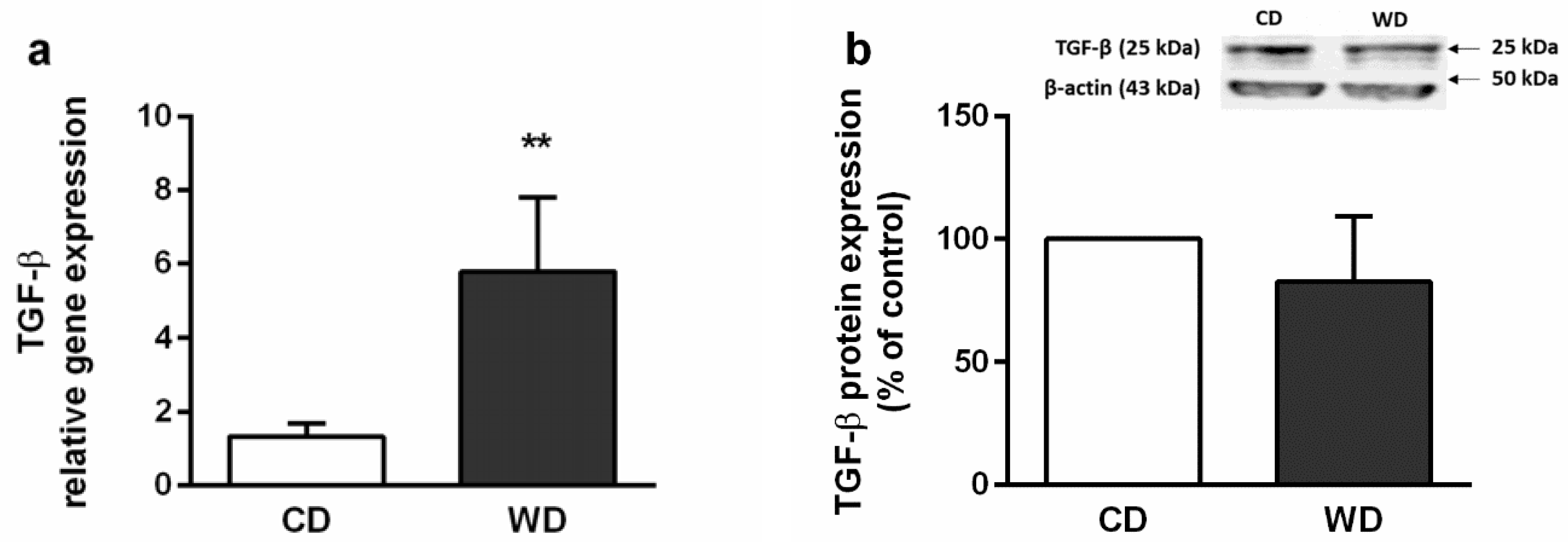 Ijms 21 01101 g005a Ijms 21 01101 g005a