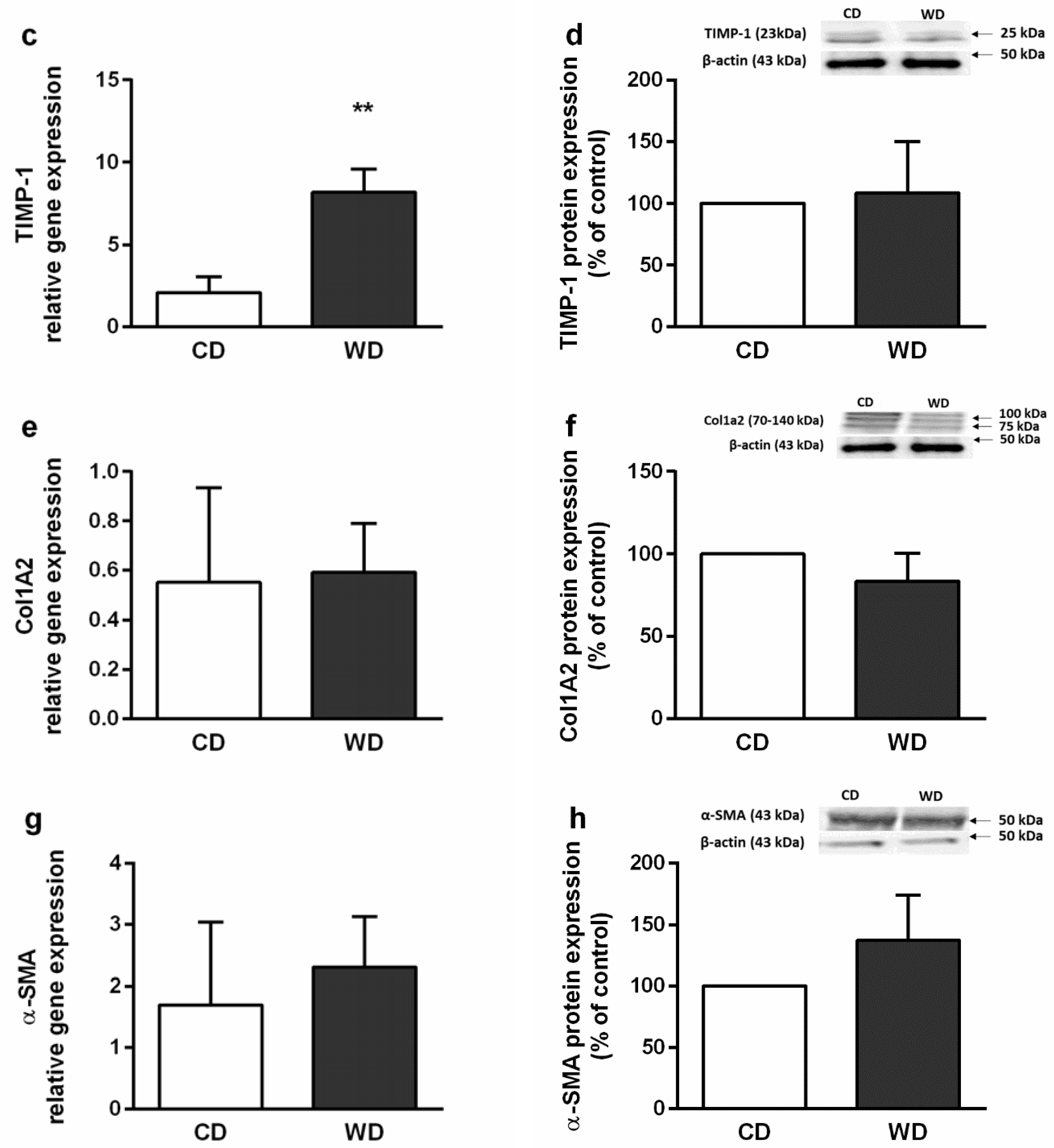 Ijms 21 01101 g005b Ijms 21 01101 g005b