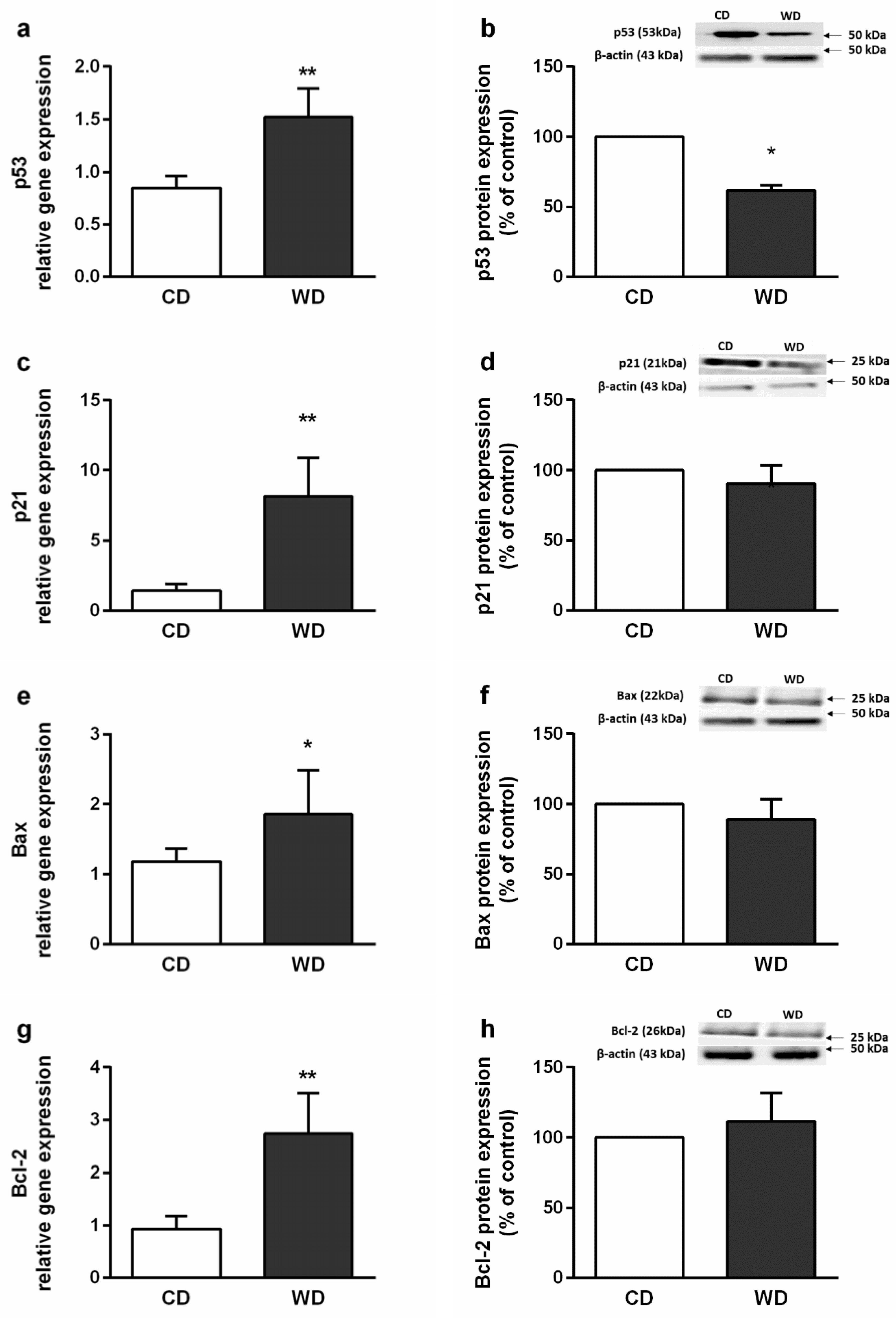 Ijms 21 01101 g006 Ijms 21 01101 g006