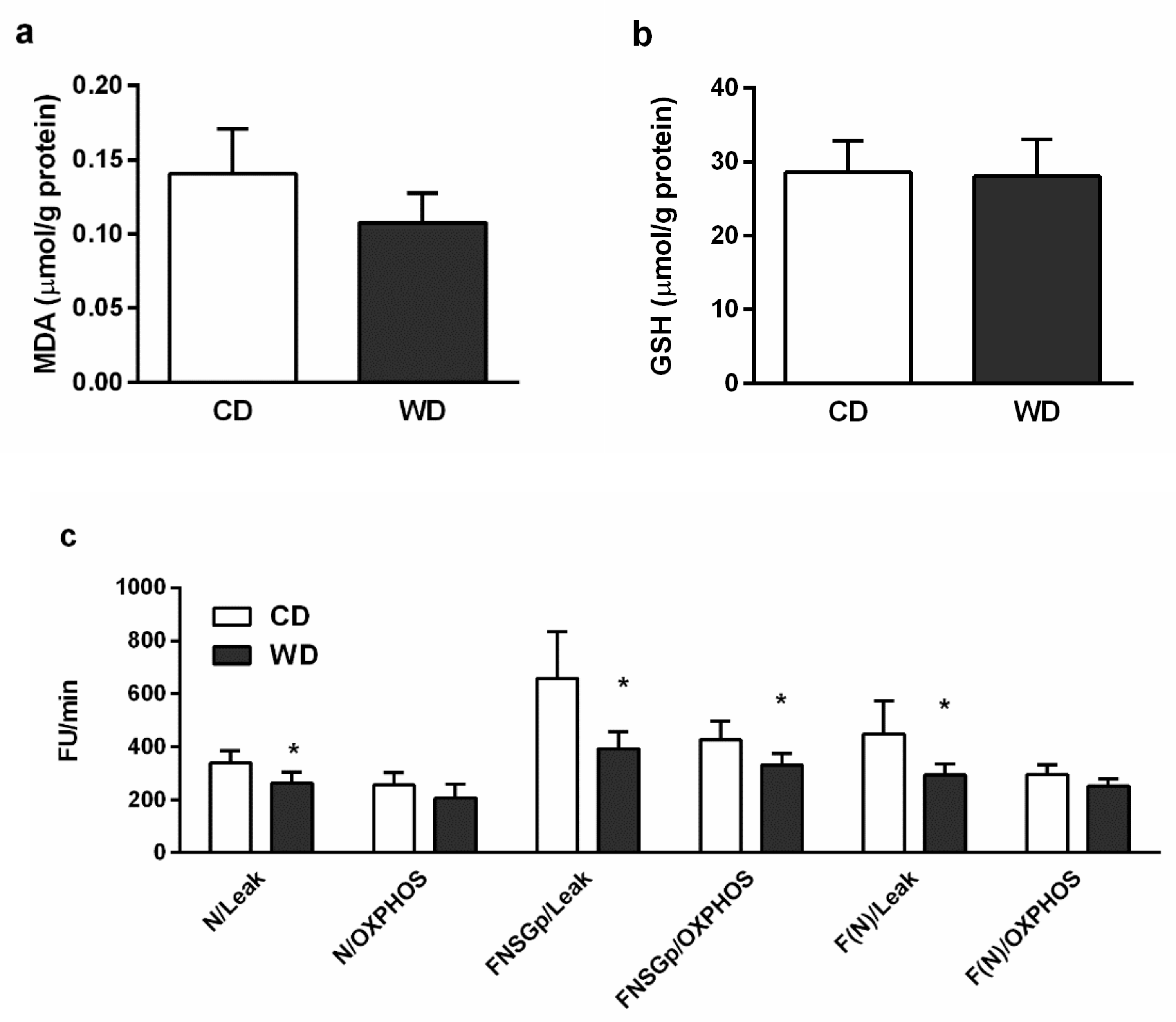 Ijms 21 01101 g007 Ijms 21 01101 g007