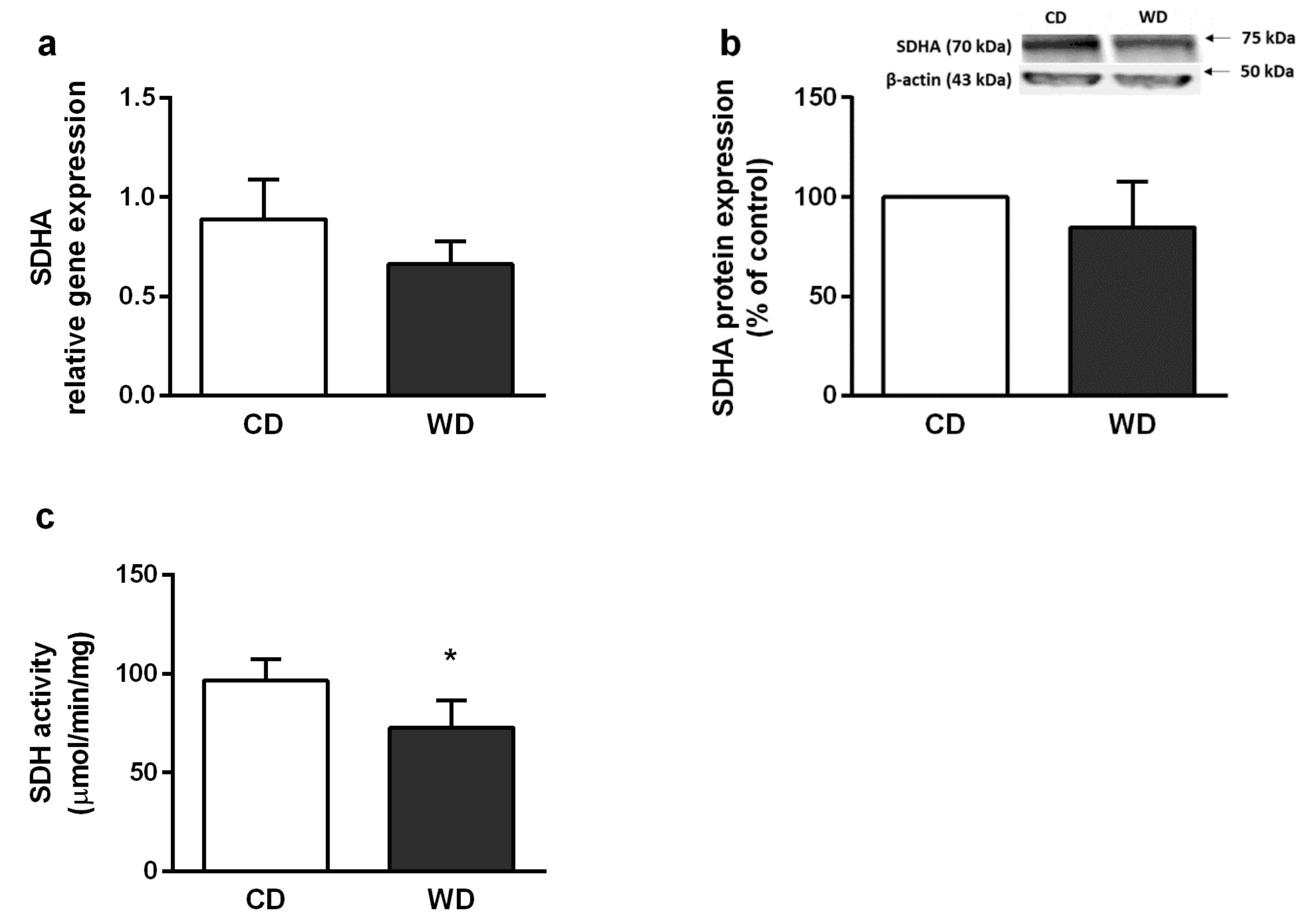 Ijms 21 01101 g010 Ijms 21 01101 g010
