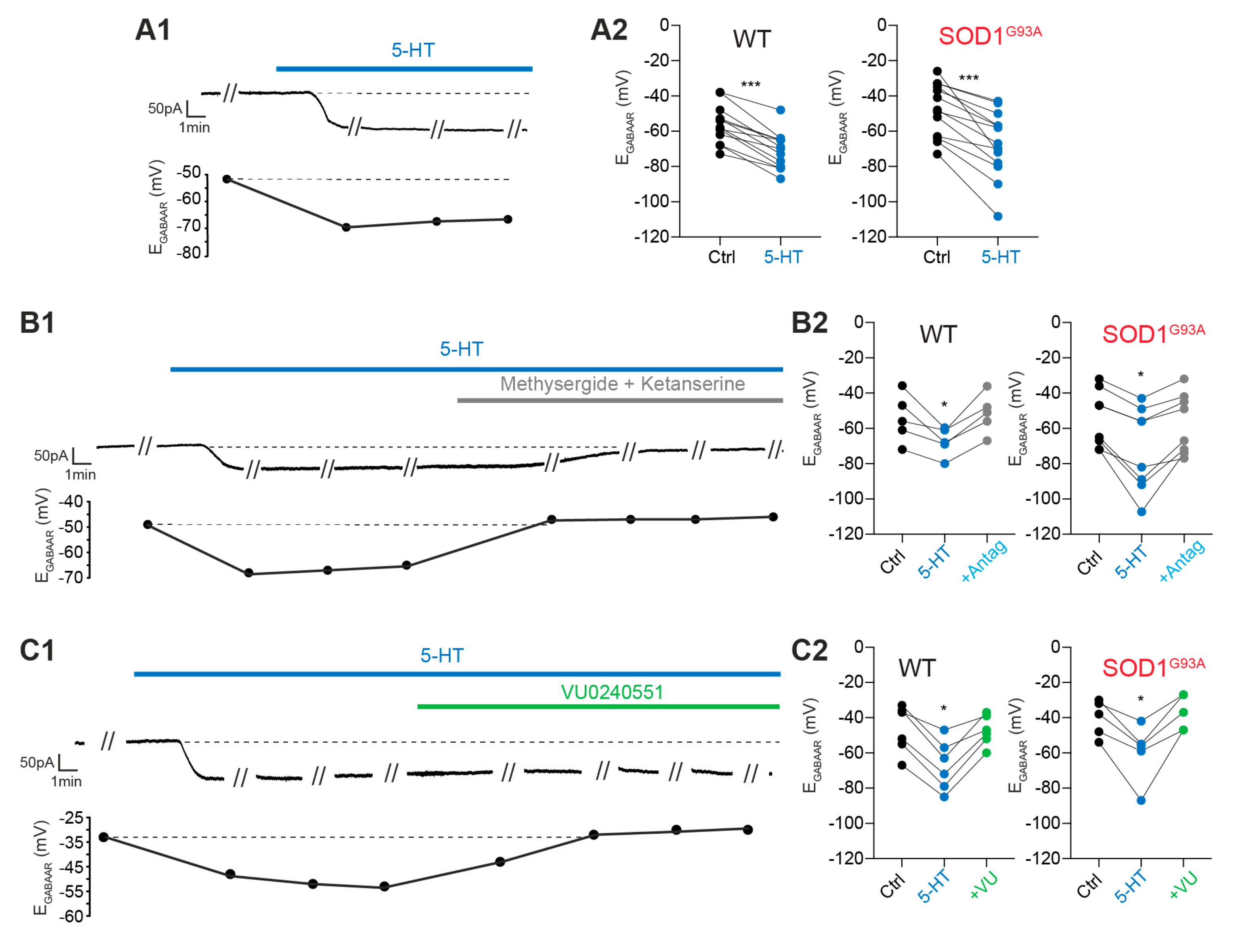 Ijms 21 01107 g003 Ijms 21 01107 g003