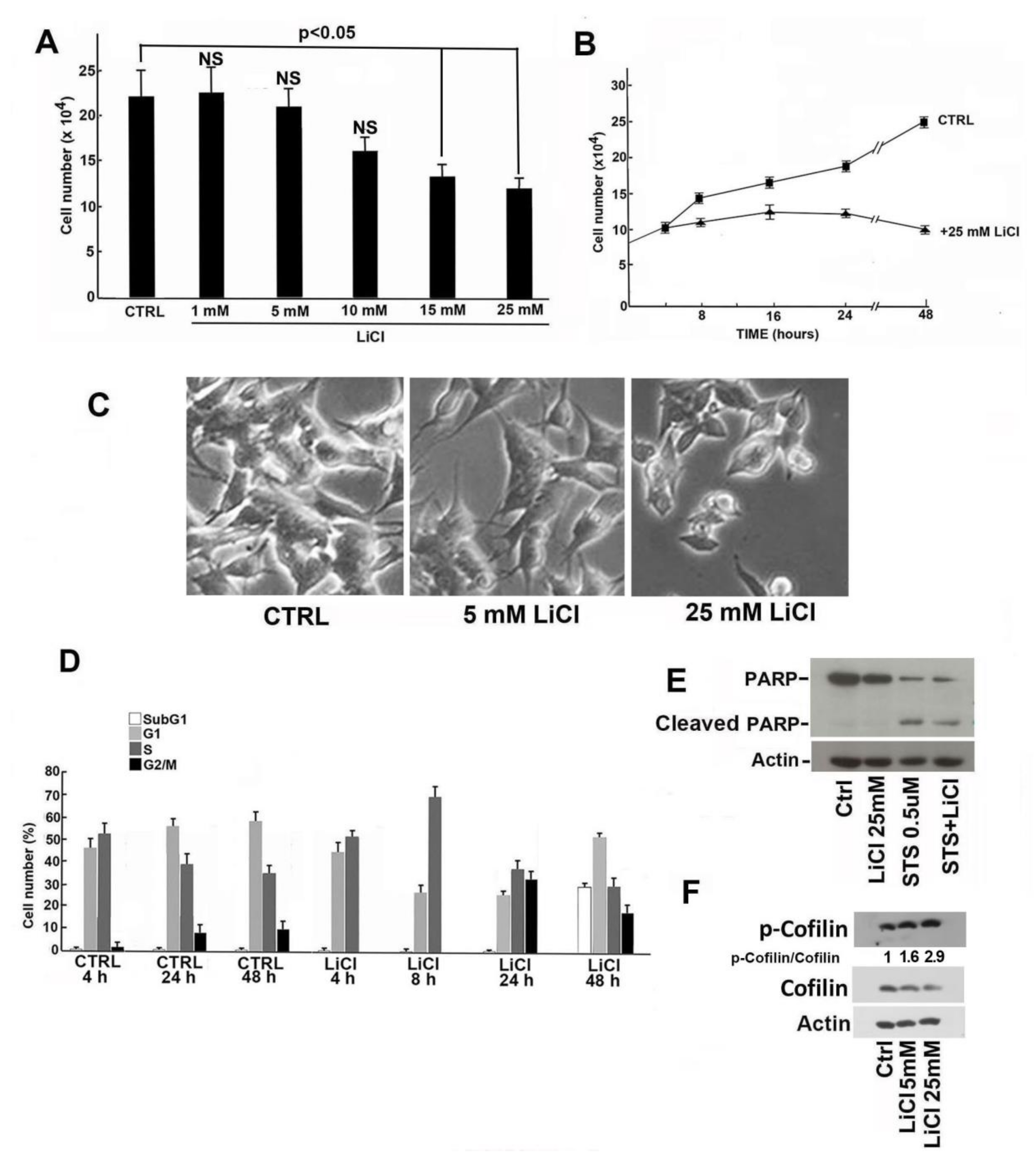 IJMS Free Full Text High Dosage Lithium Treatment Induces DNA