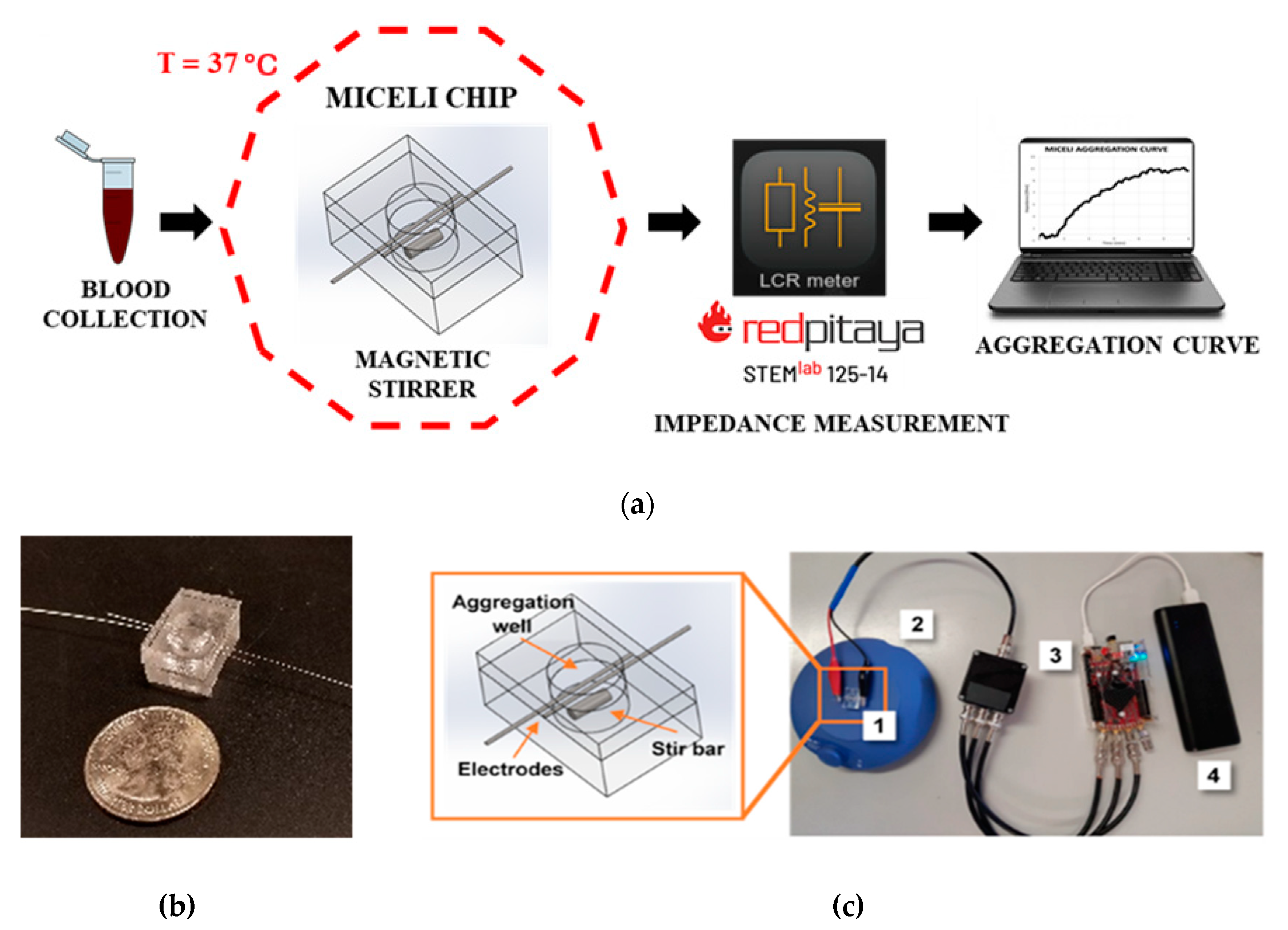 Ijms 21 01174 g009 Ijms 21 01174 g009