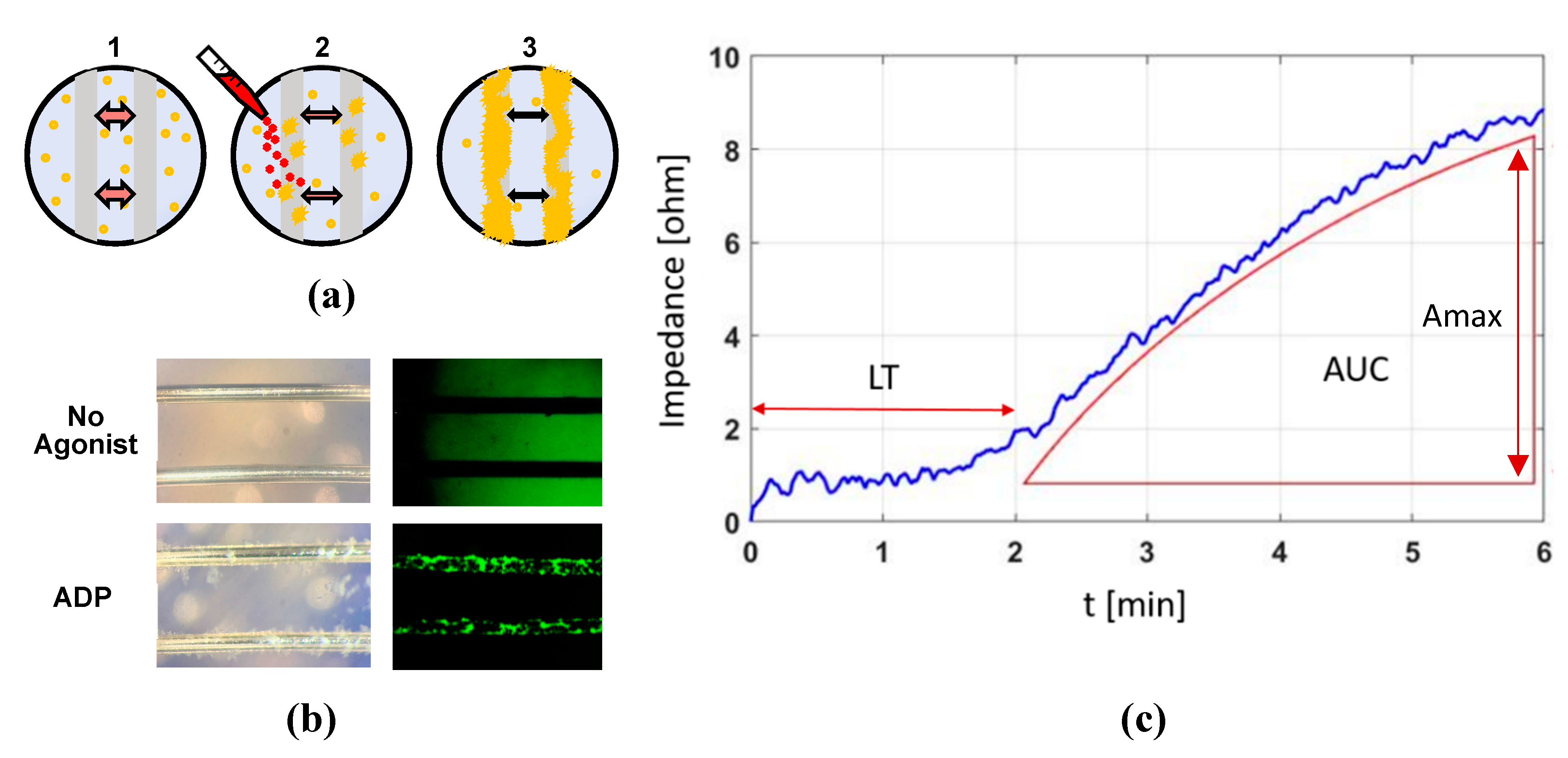 Ijms 21 01174 g0a3 Ijms 21 01174 g0a3