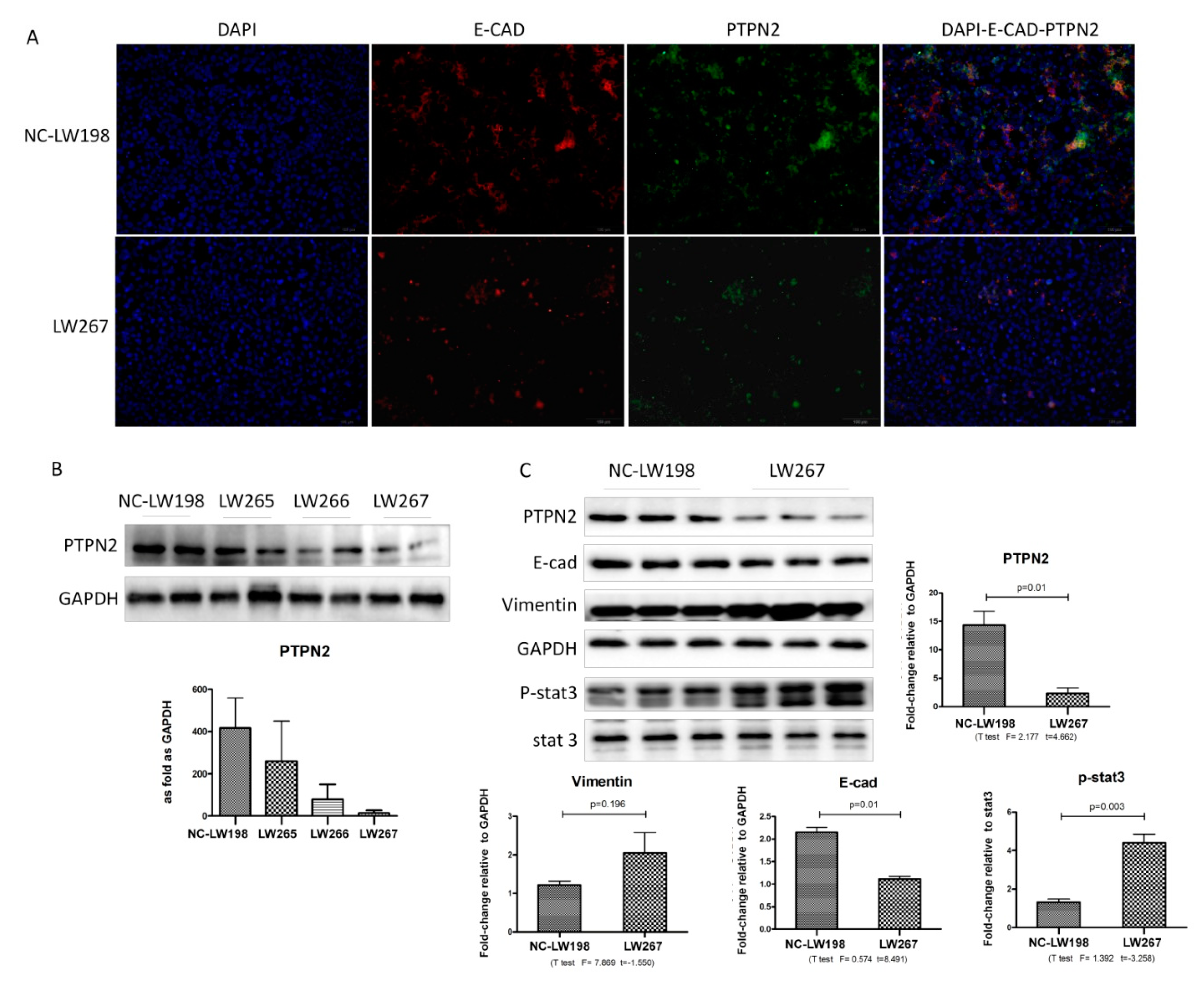 IJMS | Free Full-Text | Protein Expression Profile in Rat Silicosis ...