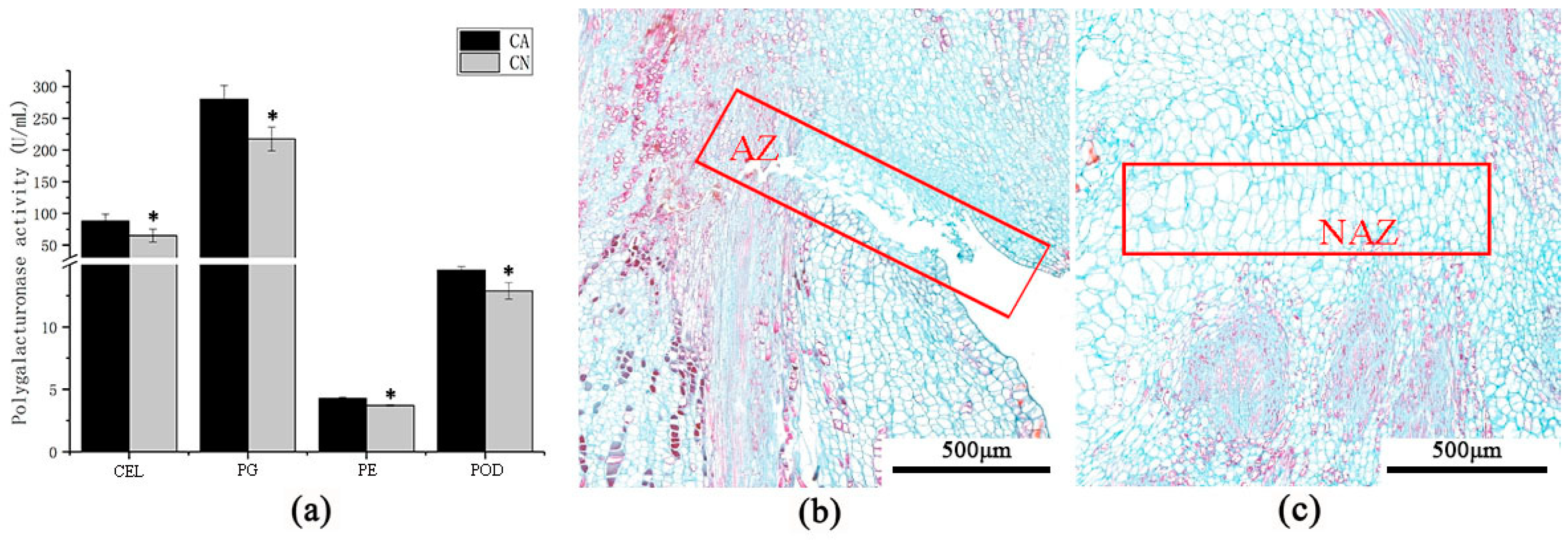 Ijms 21 01200 g002 Ijms 21 01200 g002