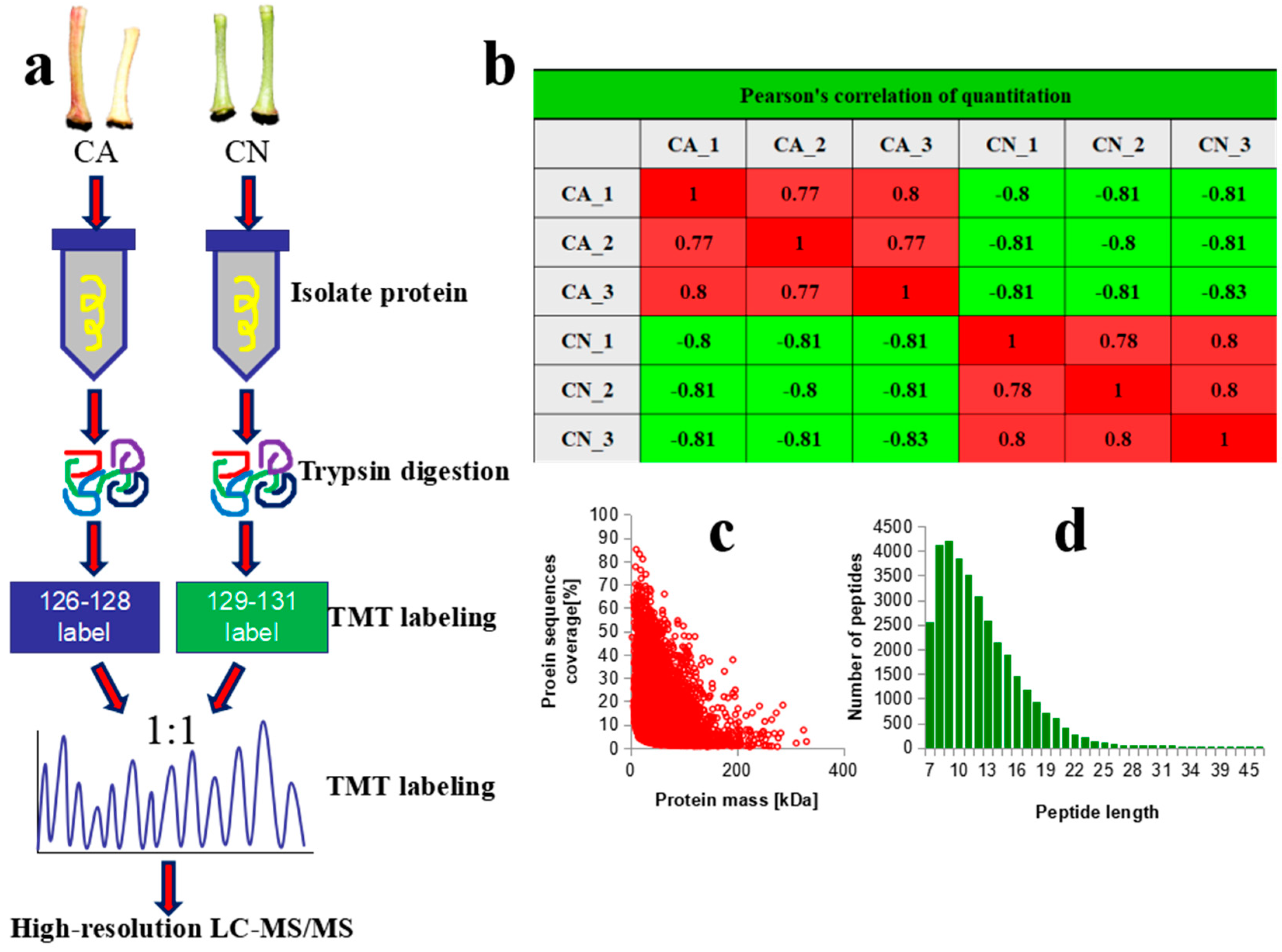 Ijms 21 01200 g003 Ijms 21 01200 g003