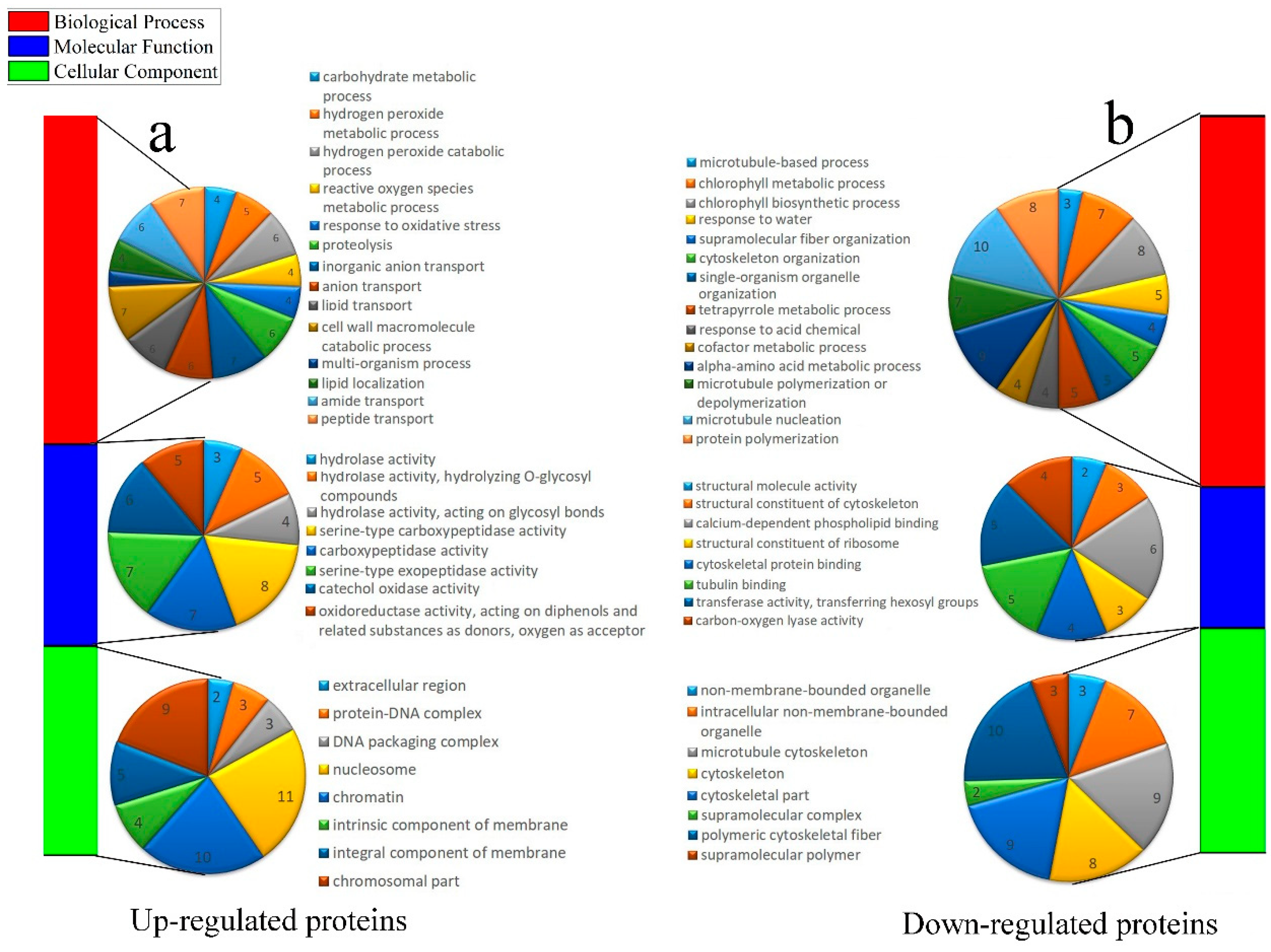 Ijms 21 01200 g004 Ijms 21 01200 g004