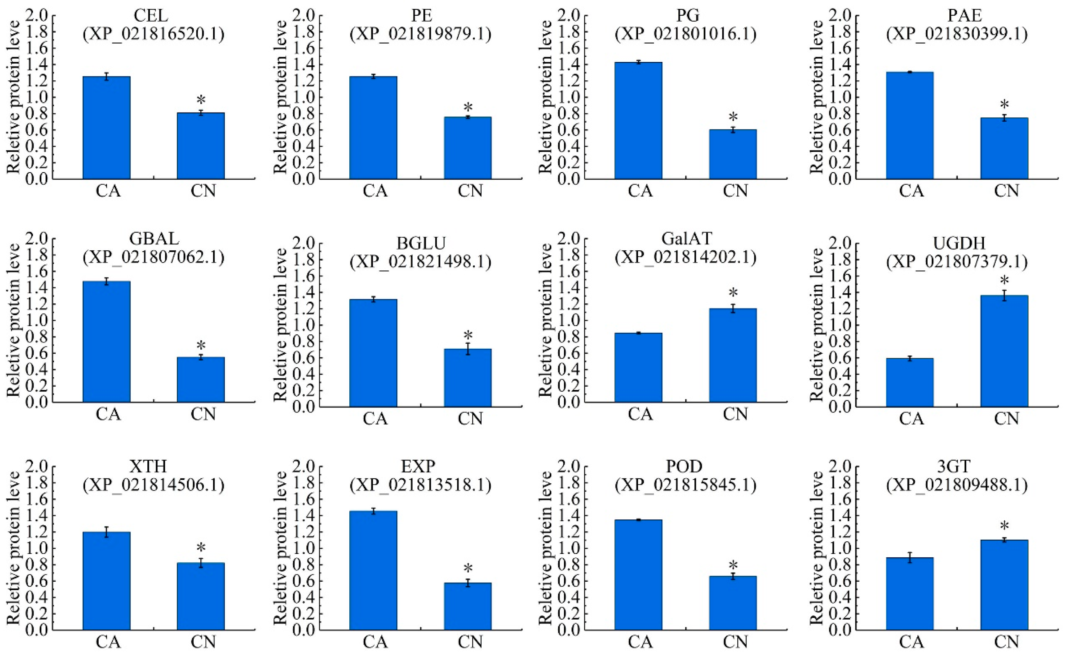 Ijms 21 01200 g005 Ijms 21 01200 g005