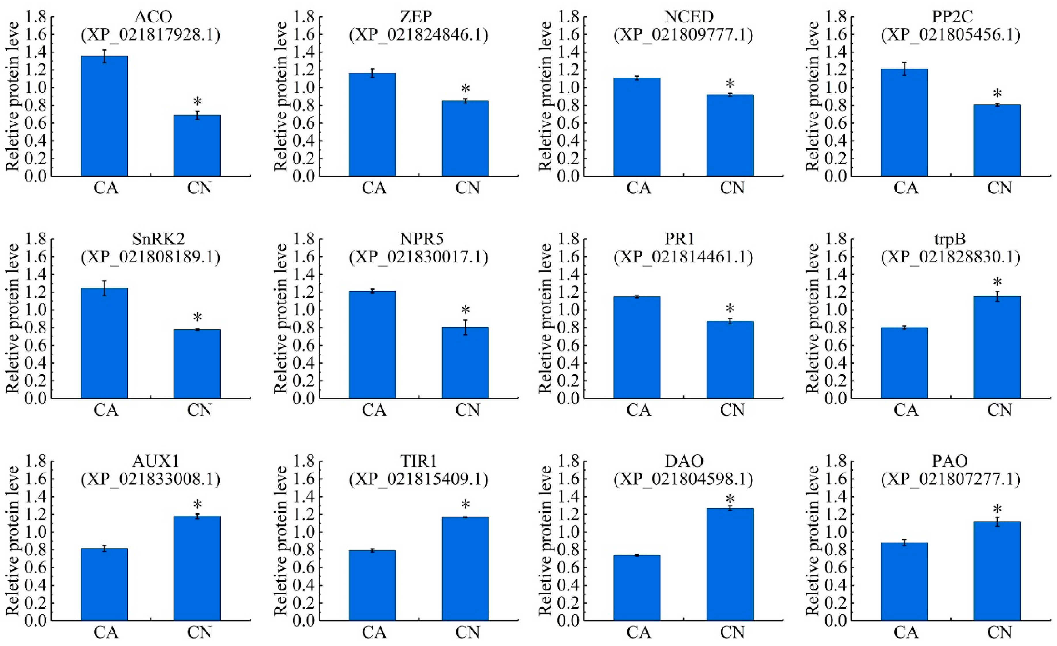 Ijms 21 01200 g006 Ijms 21 01200 g006