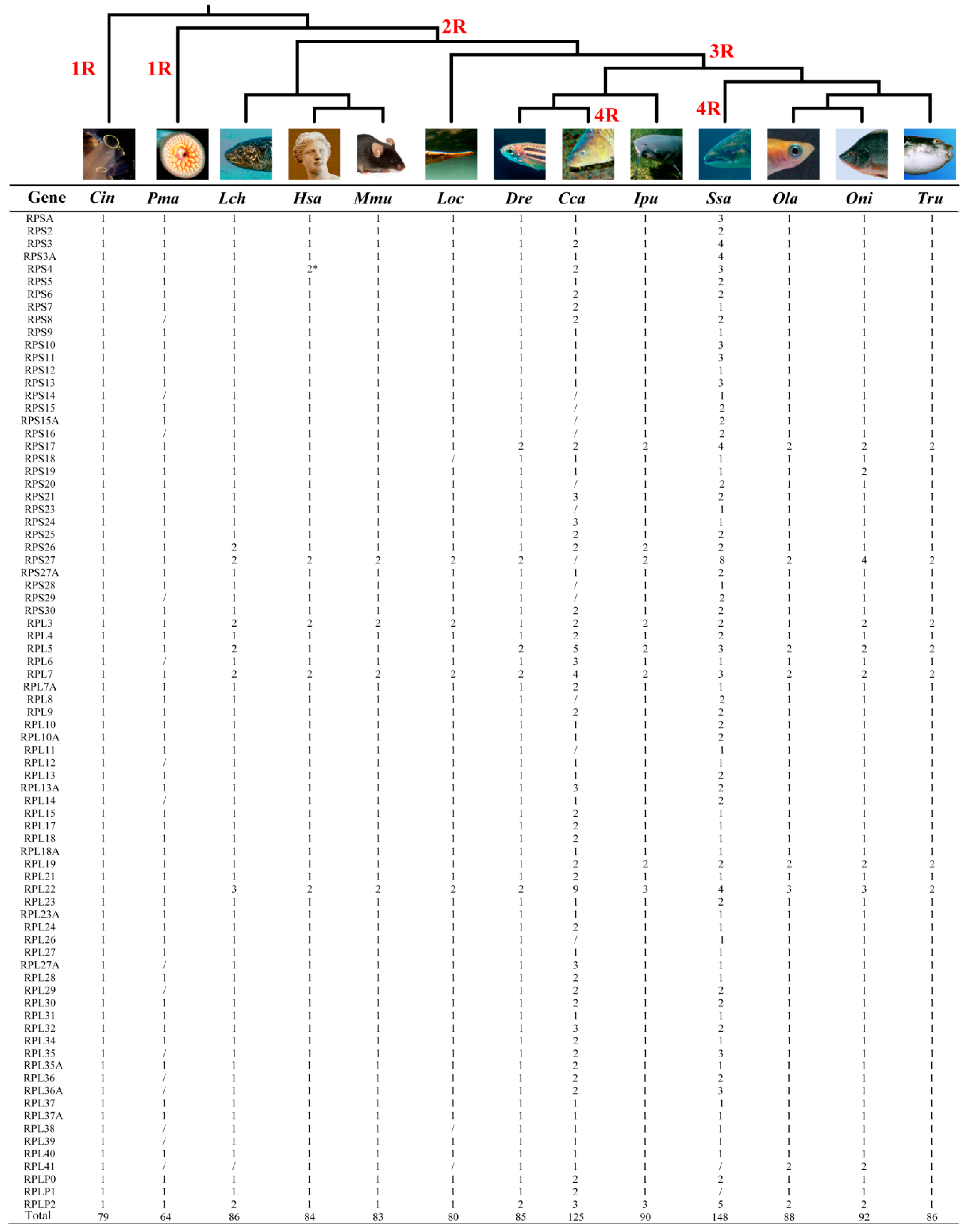 Ijms 21 01230 g002 Ijms 21 01230 g002