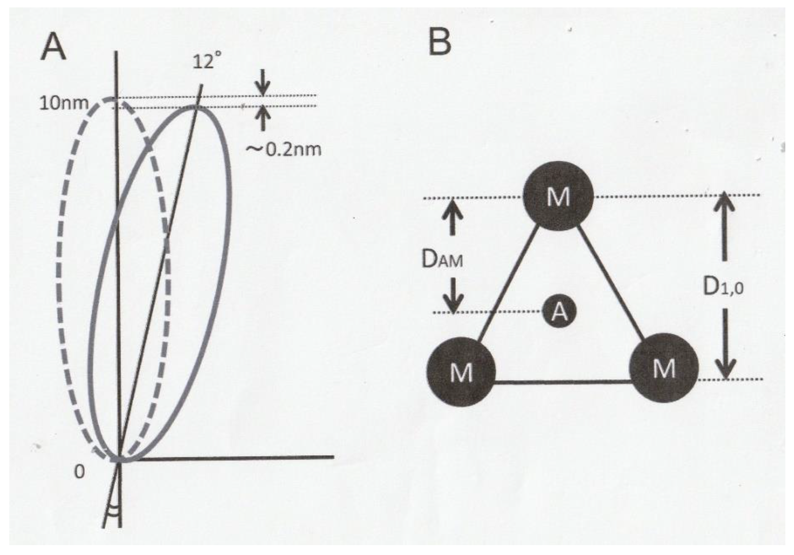 Ijms 21 01244 g004 Ijms 21 01244 g004