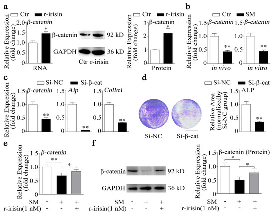 IJMS | Free Full-Text | Recombinant Irisin Prevents the Reduction 