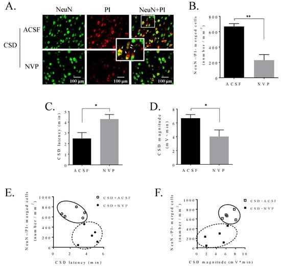 IJMS | Free Full-Text | Sarcoma Family Kinase-Dependent Pannexin-1 