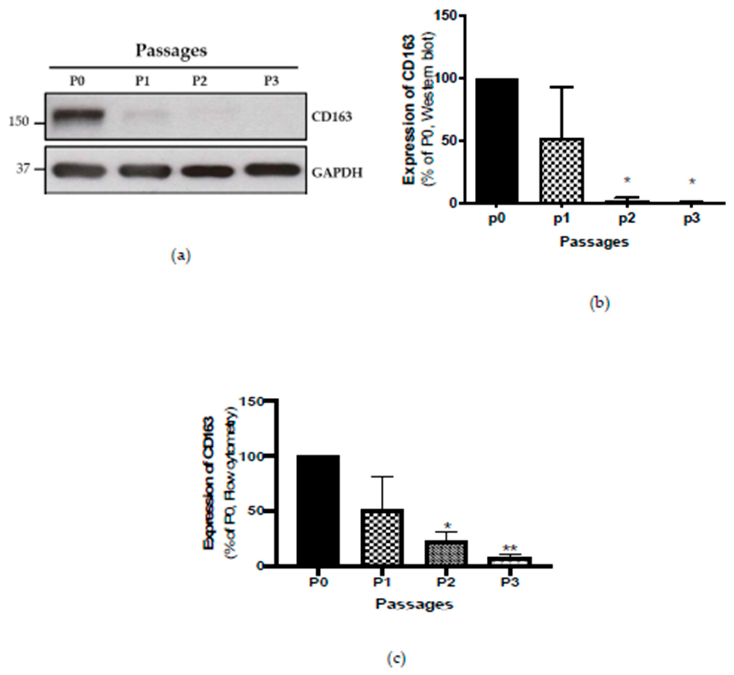 Ijms 21 01273 g001 Ijms 21 01273 g001