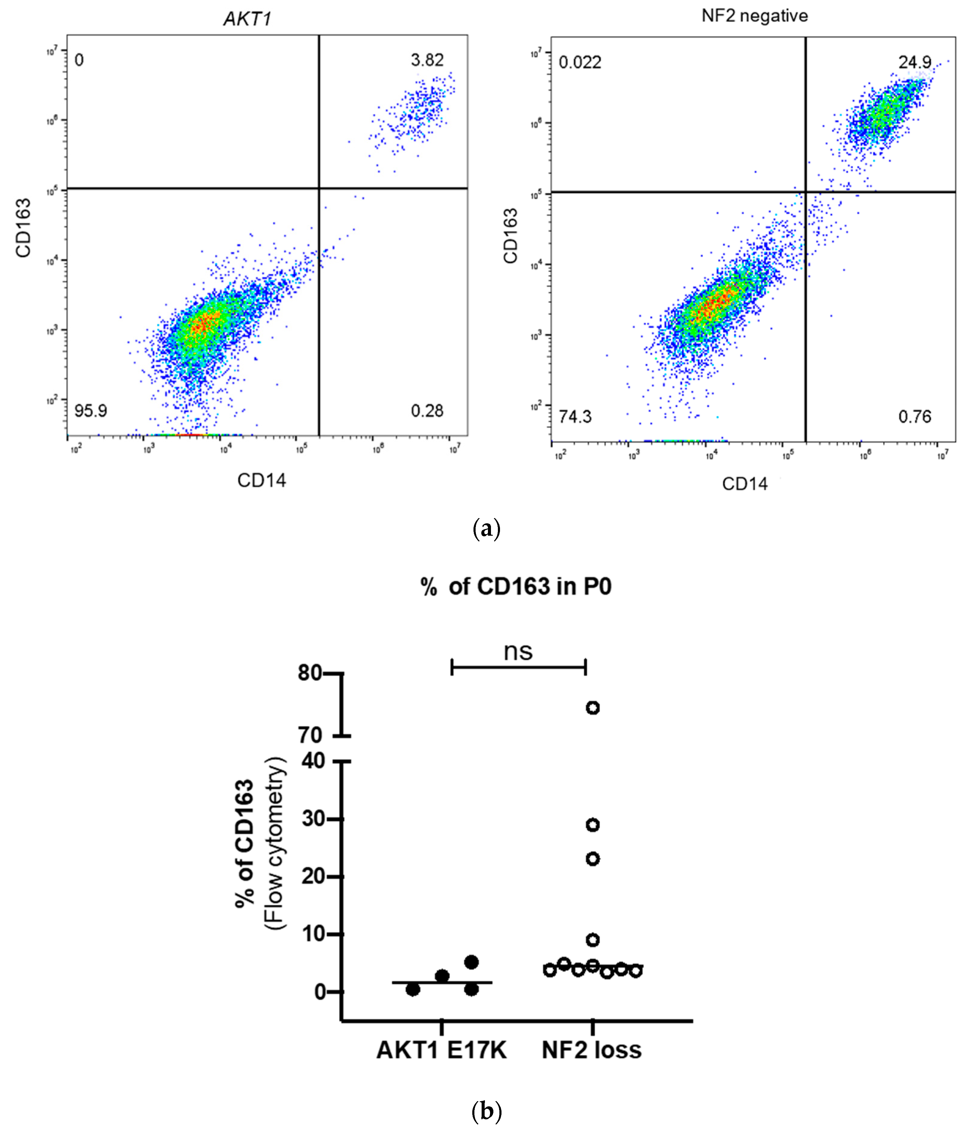 Ijms 21 01273 g002 Ijms 21 01273 g002