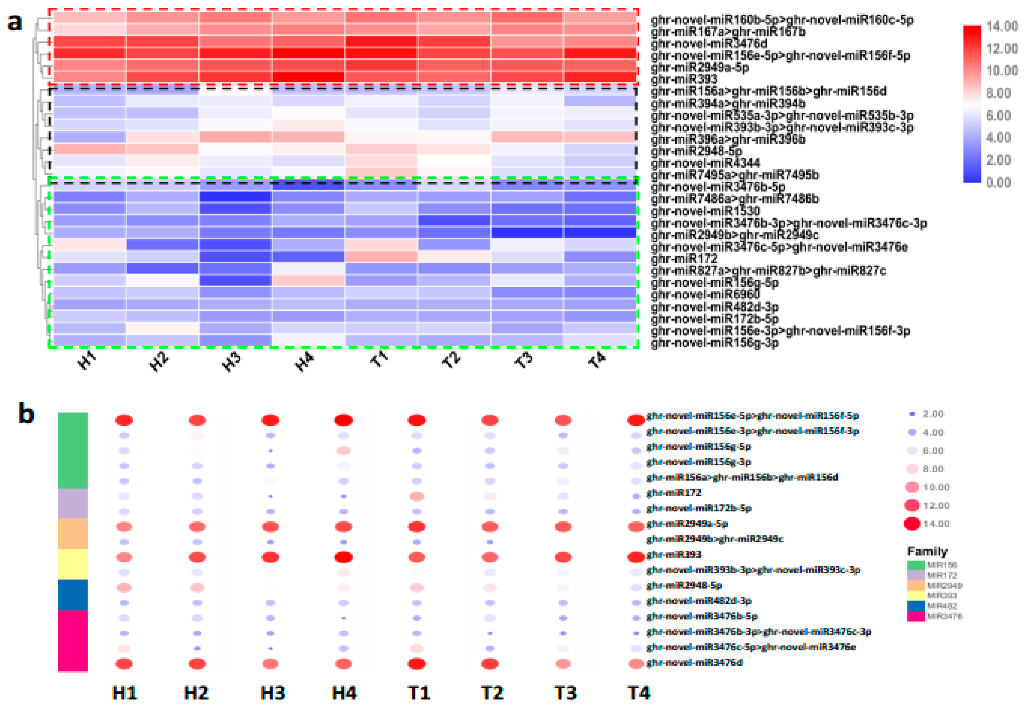 Ijms 21 01280 g002 Ijms 21 01280 g002