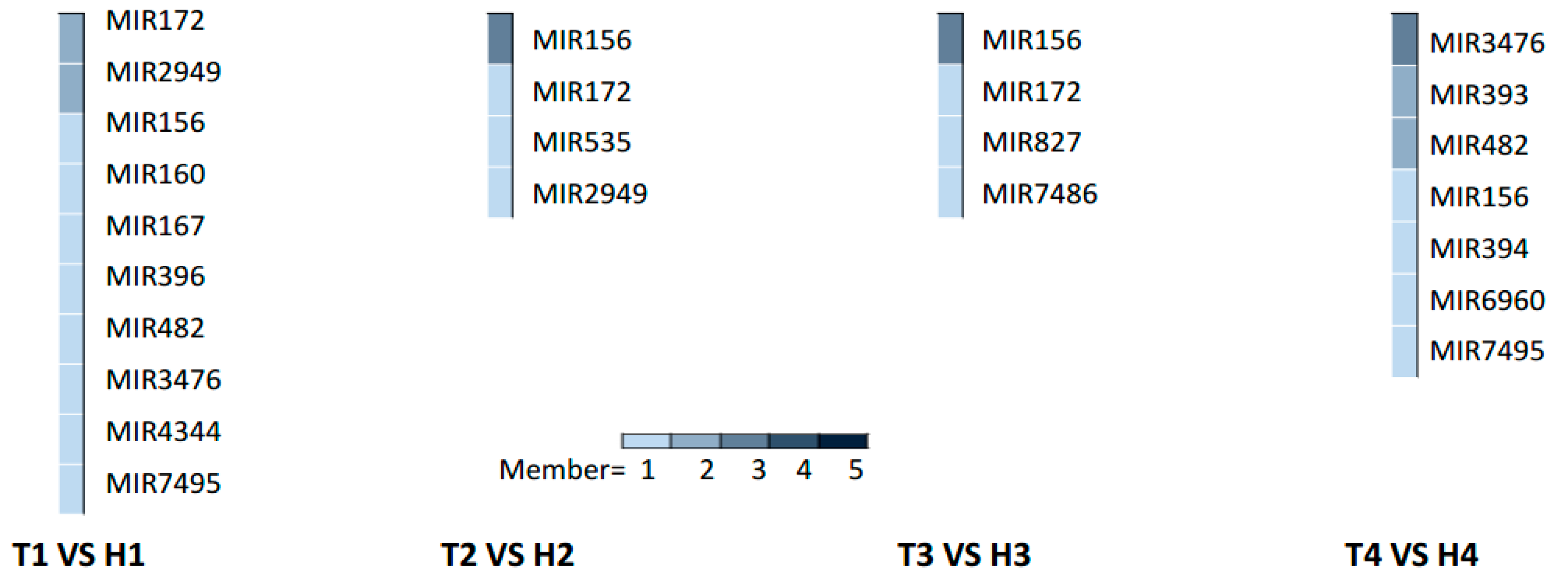 Ijms 21 01280 g003 Ijms 21 01280 g003