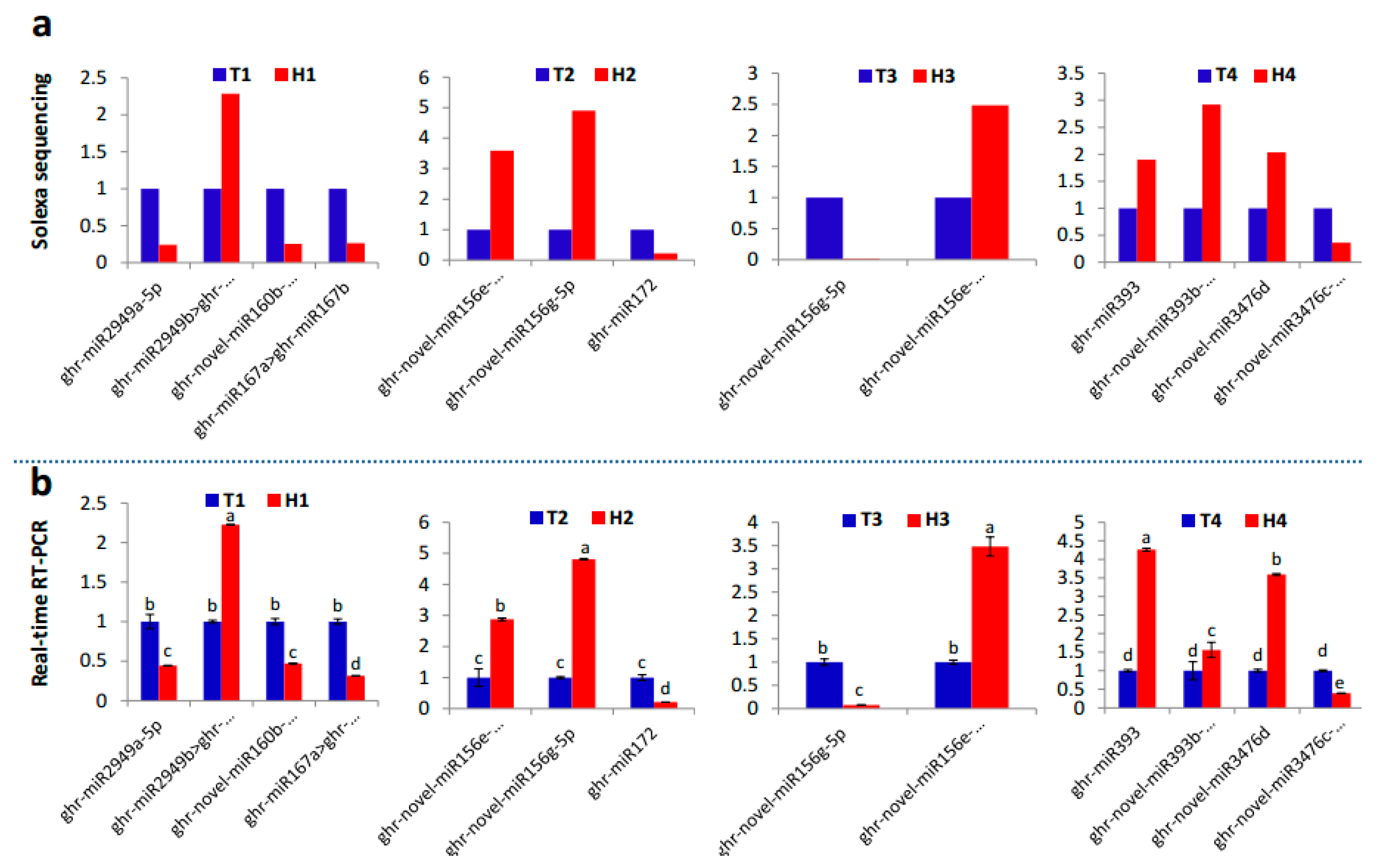 Ijms 21 01280 g005 Ijms 21 01280 g005