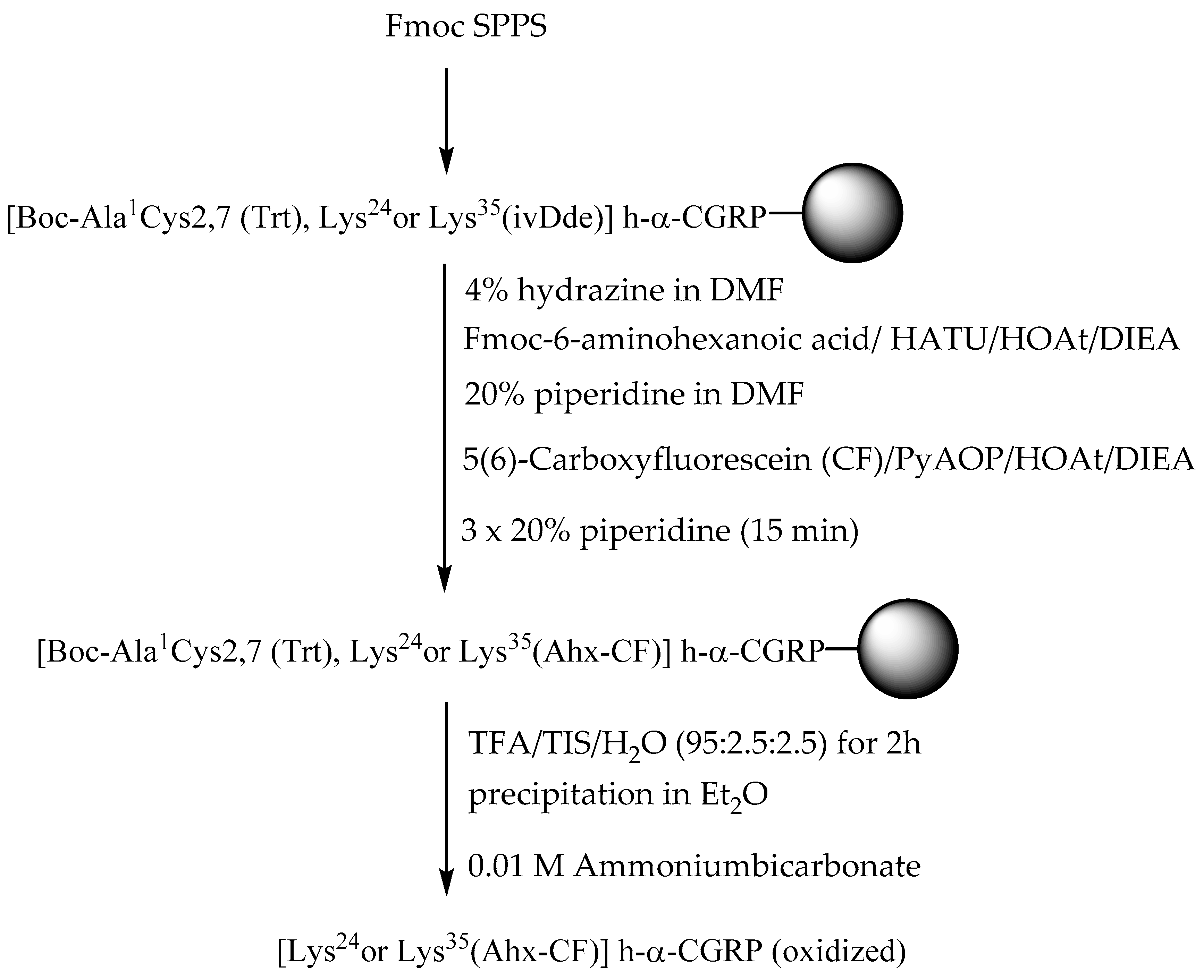 Ijms 21 01343 sch001