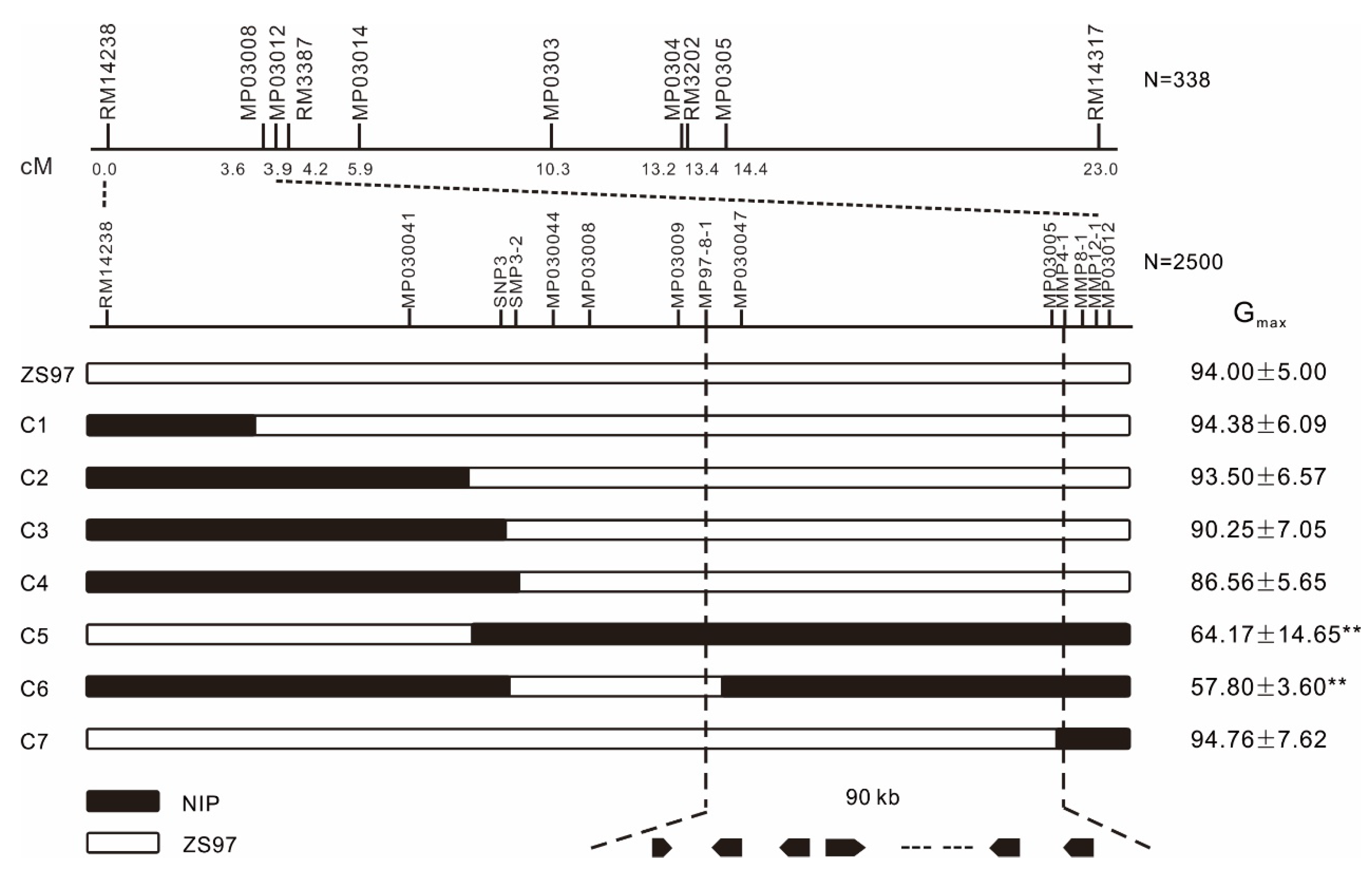 Ijms 21 01344 g005 Ijms 21 01344 g005