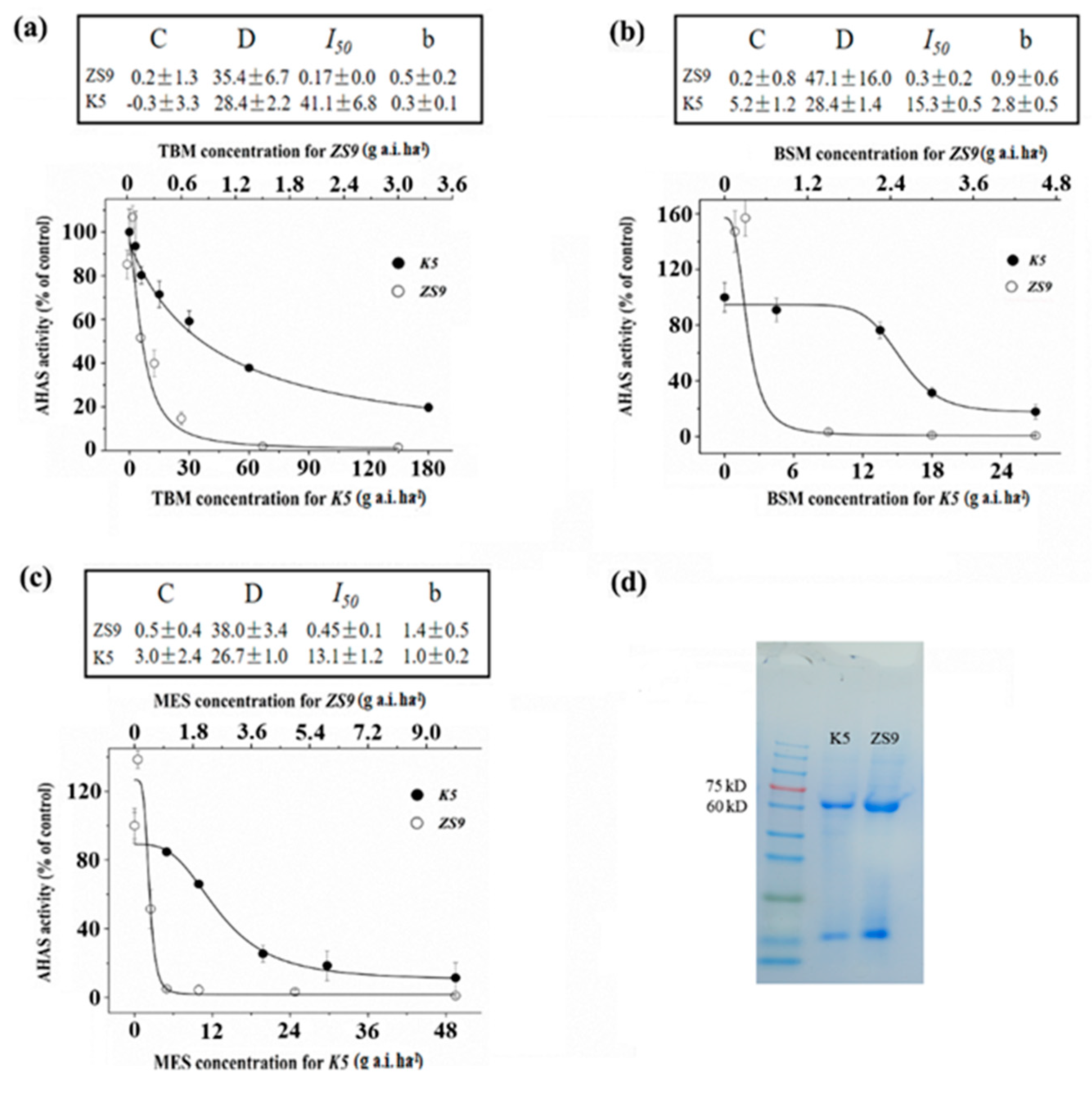 Ijms 21 01345 g002 Ijms 21 01345 g002