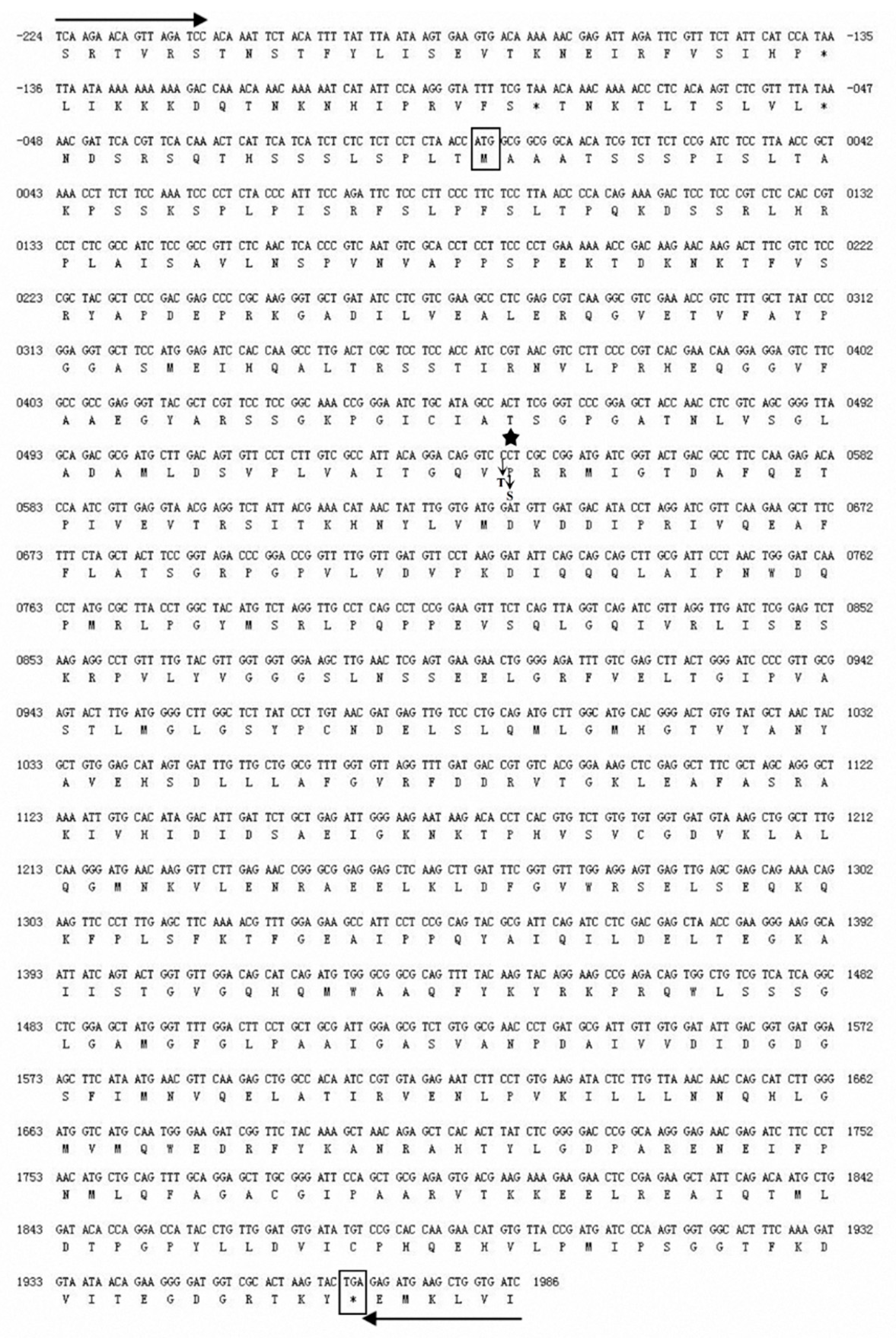 Ijms 21 01345 g003 Ijms 21 01345 g003