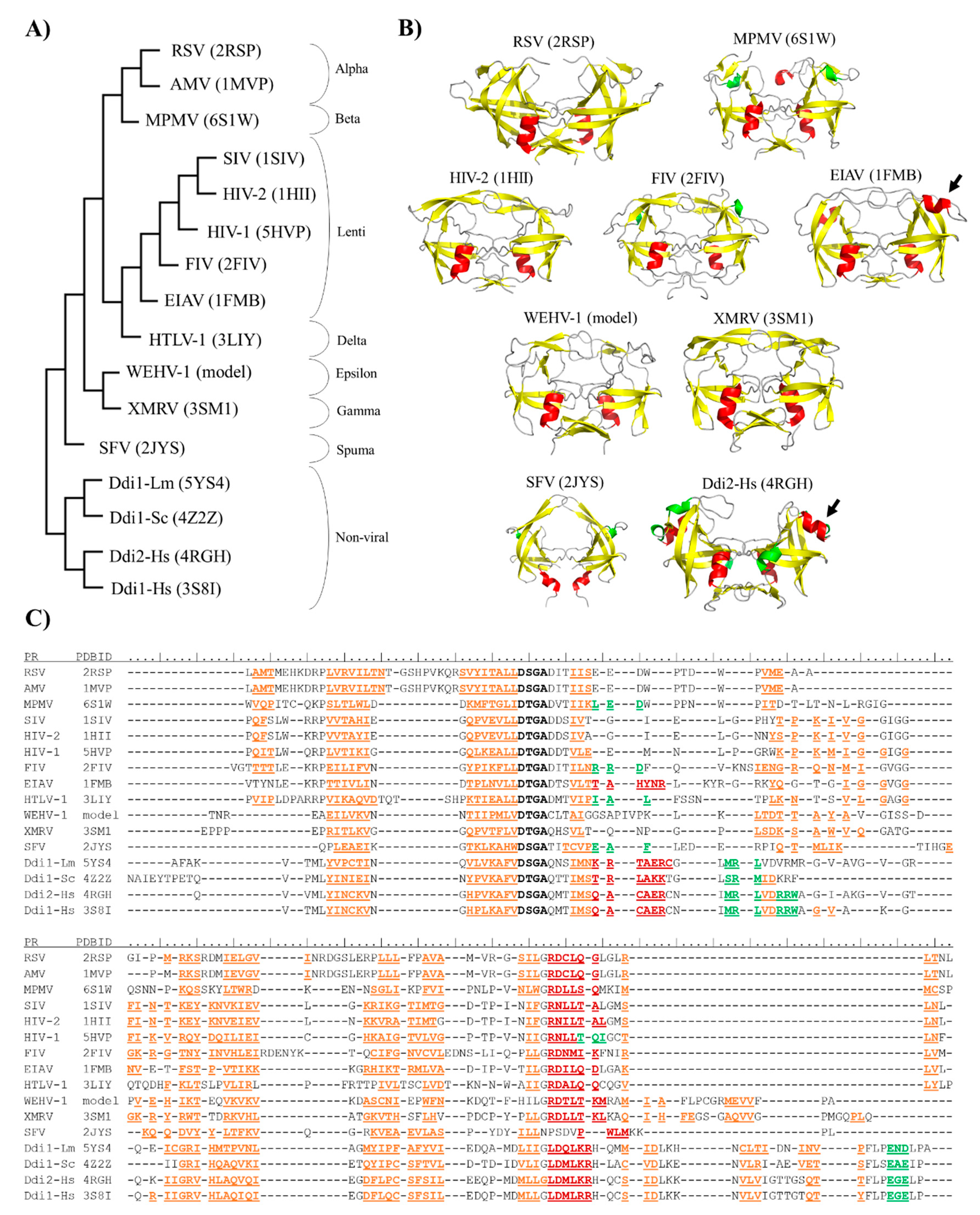 Ijms 21 01352 g002 Ijms 21 01352 g002