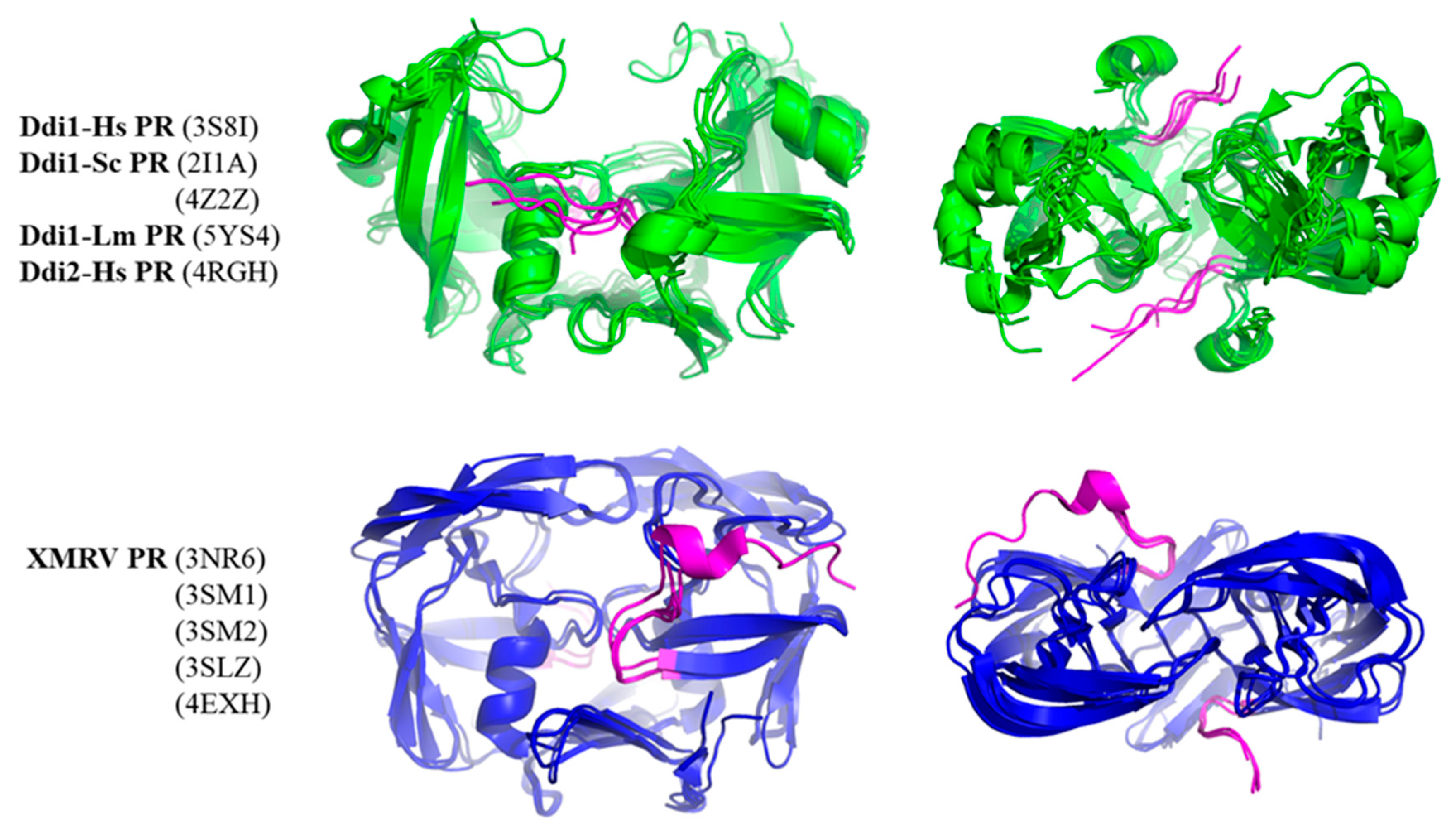 Ijms 21 01352 g007 Ijms 21 01352 g007