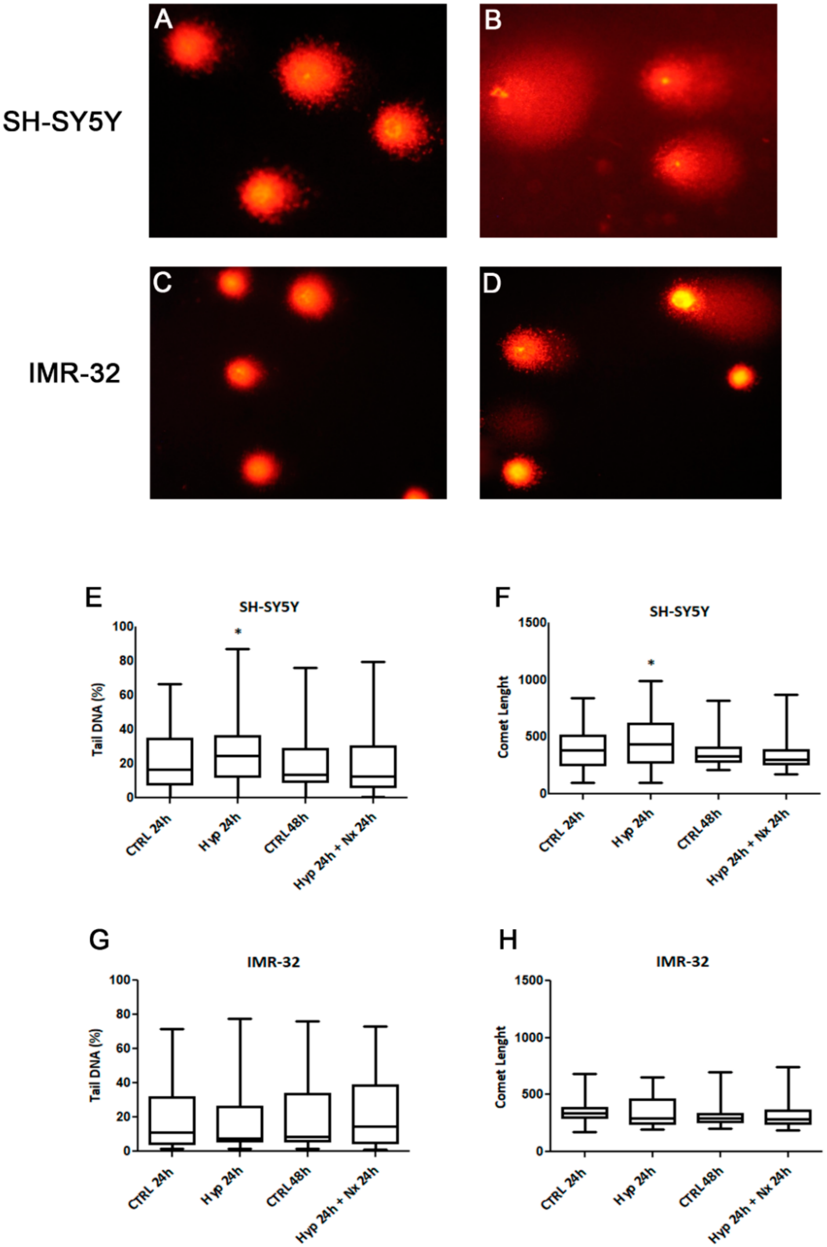 Ijms 21 01364 g005 Ijms 21 01364 g005