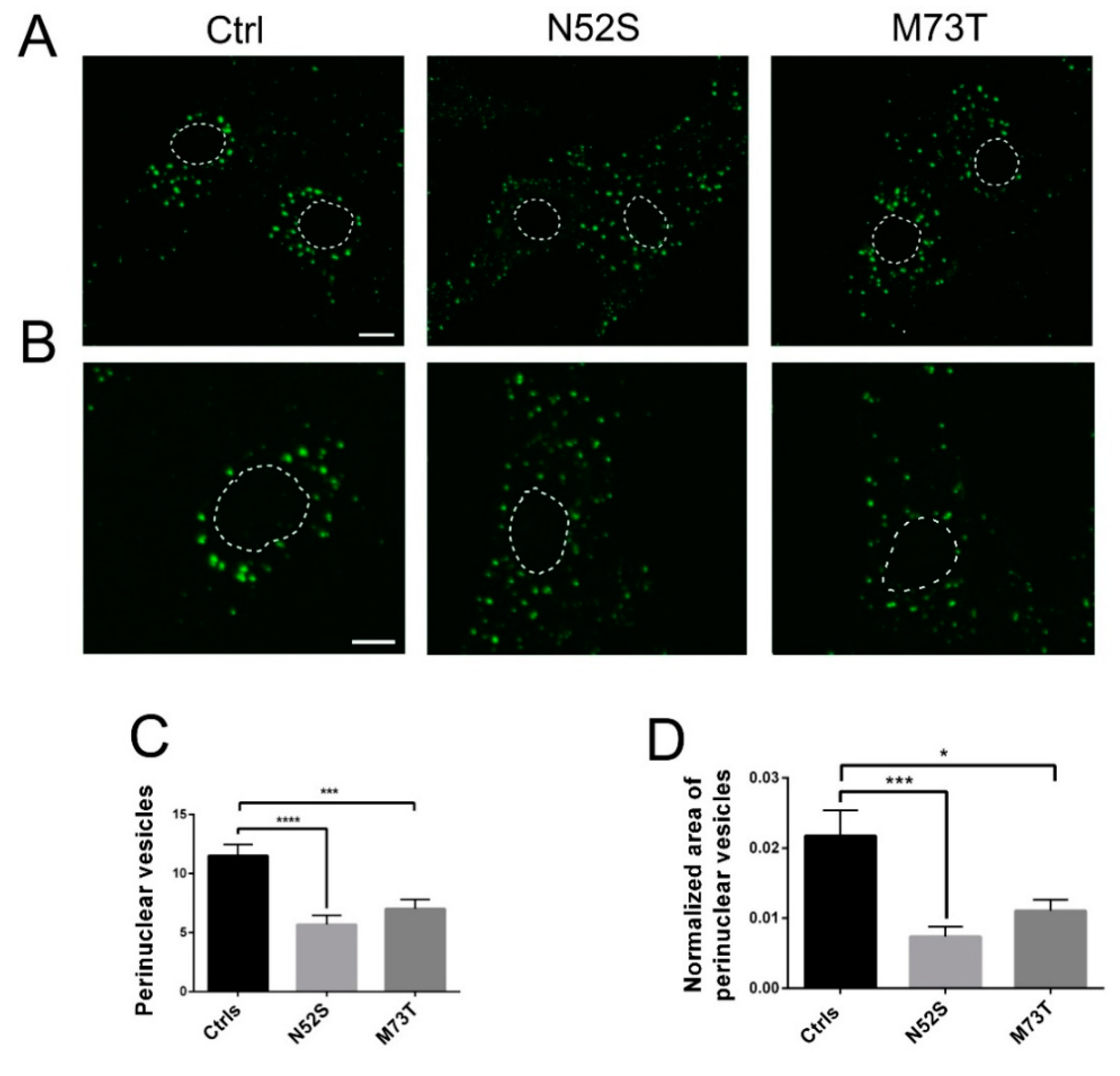 Ijms 21 01385 g004 Ijms 21 01385 g004