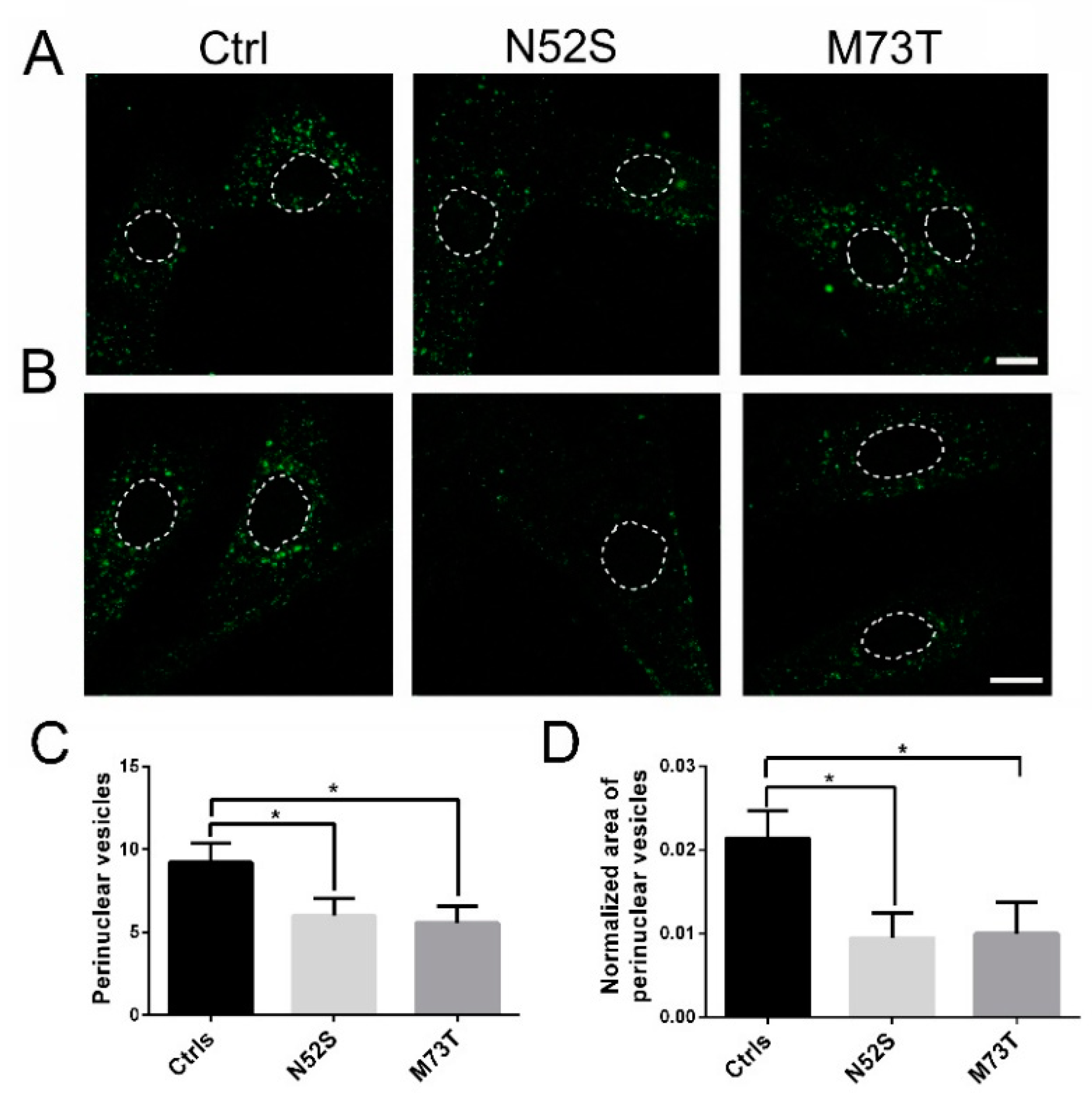 Ijms 21 01385 g006 Ijms 21 01385 g006
