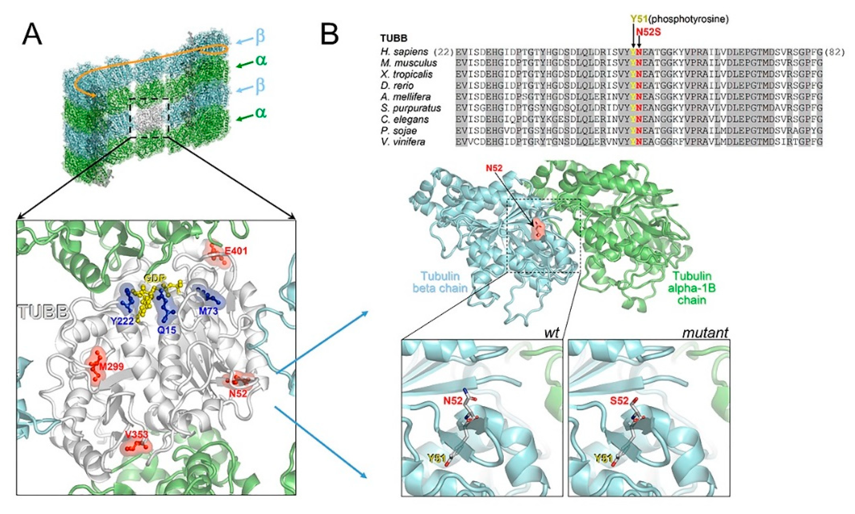 Ijms 21 01385 g008 Ijms 21 01385 g008
