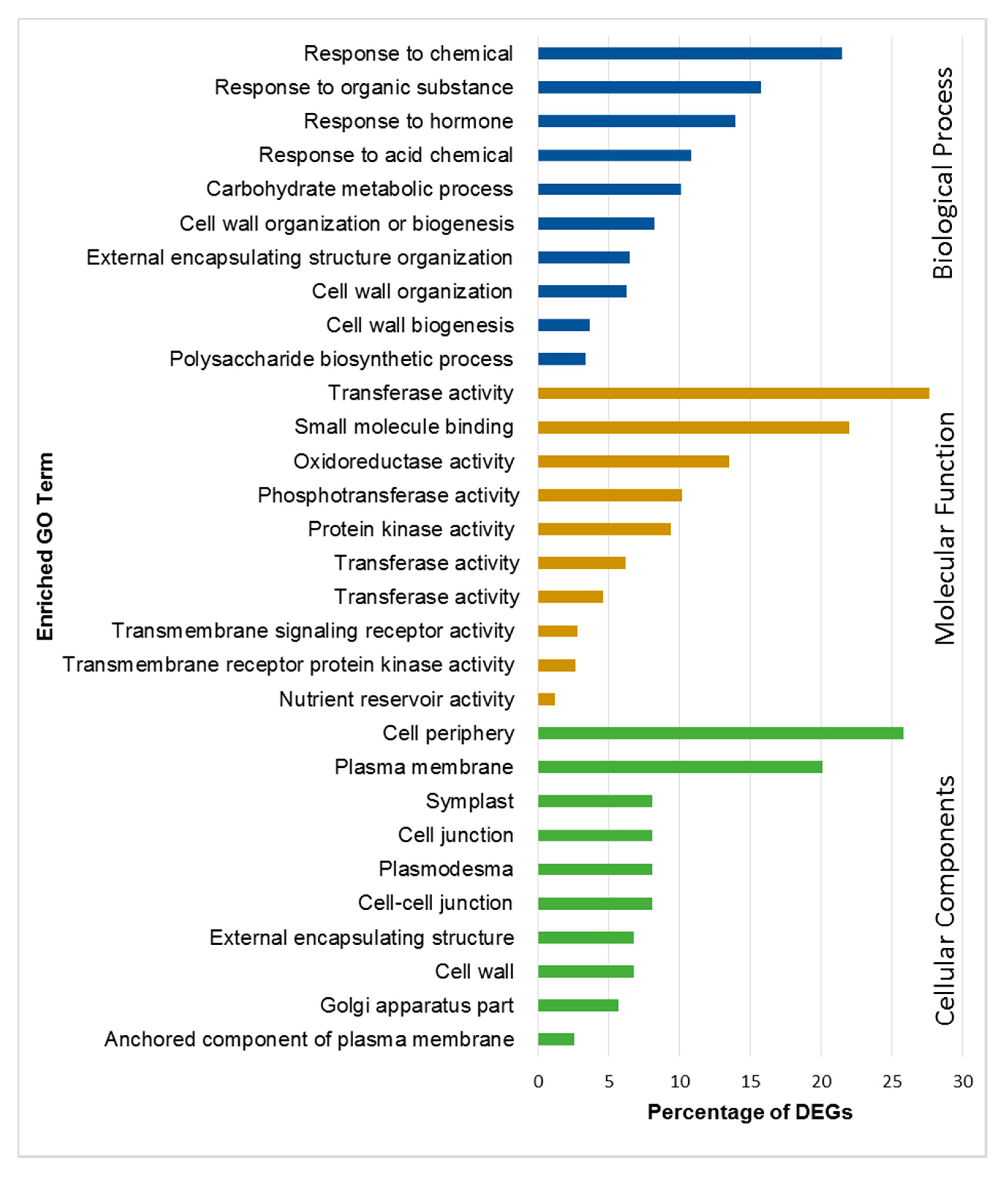 Ijms 21 01397 g002 Ijms 21 01397 g002