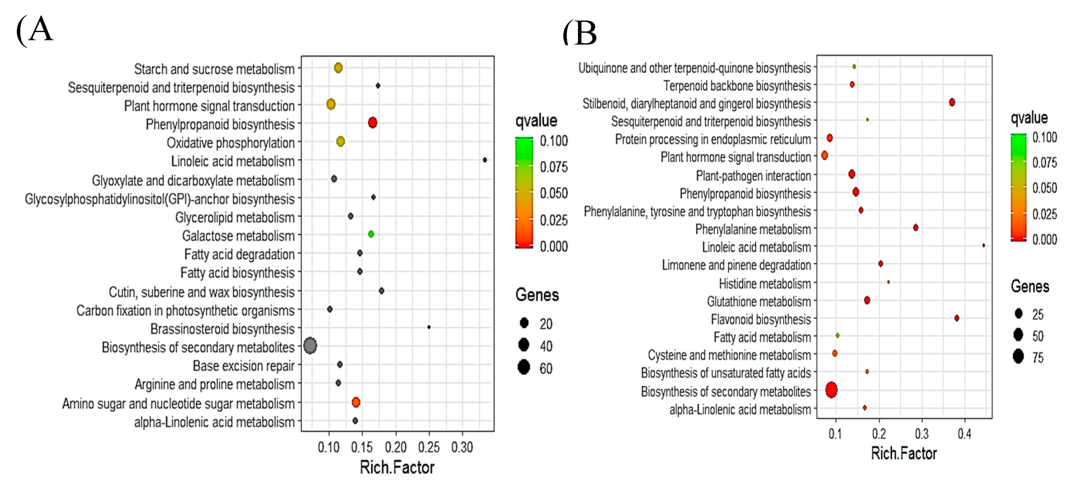 Ijms 21 01397 g003 Ijms 21 01397 g003