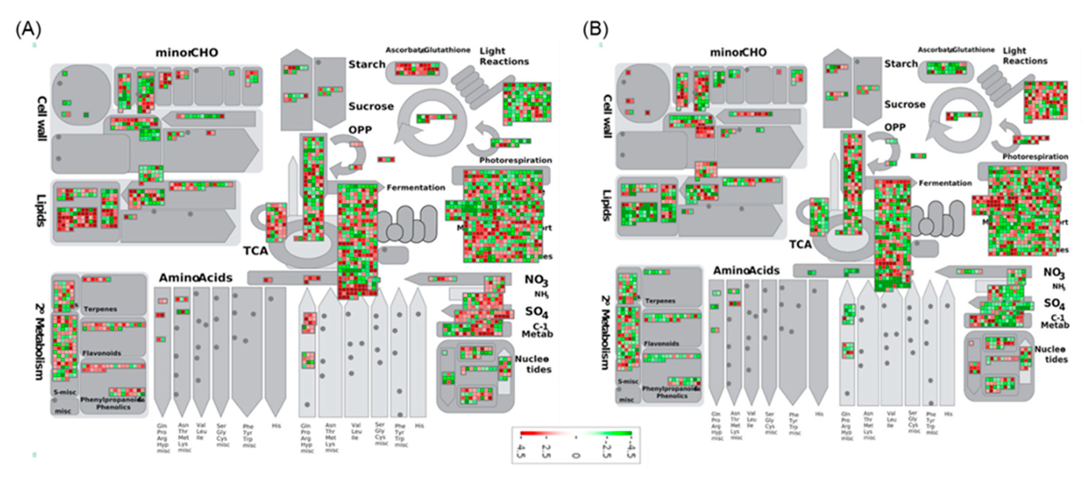 Ijms 21 01397 g004 Ijms 21 01397 g004