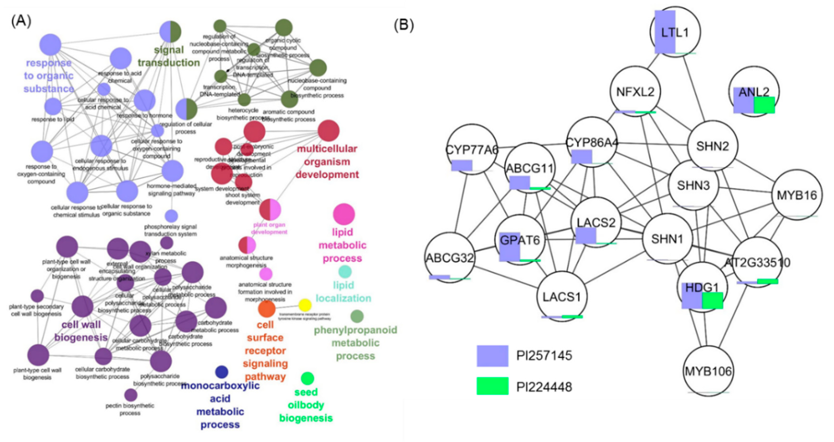 Ijms 21 01397 g006 Ijms 21 01397 g006