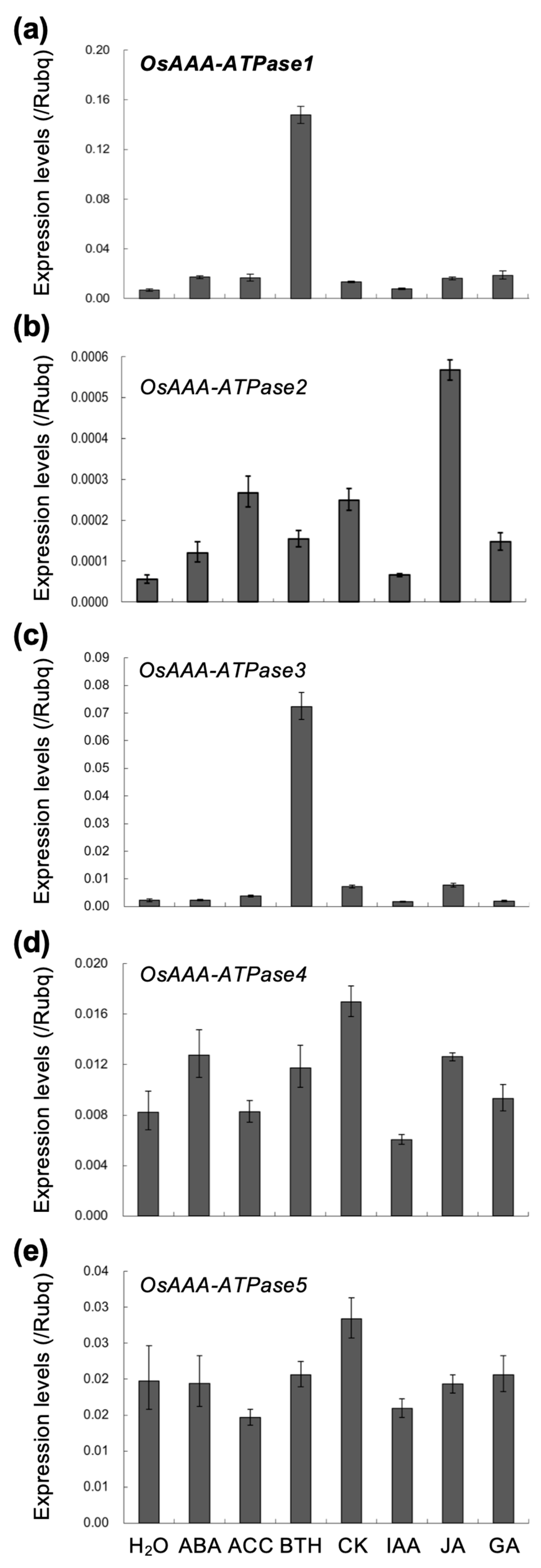 Ijms 21 01443 g002 Ijms 21 01443 g002