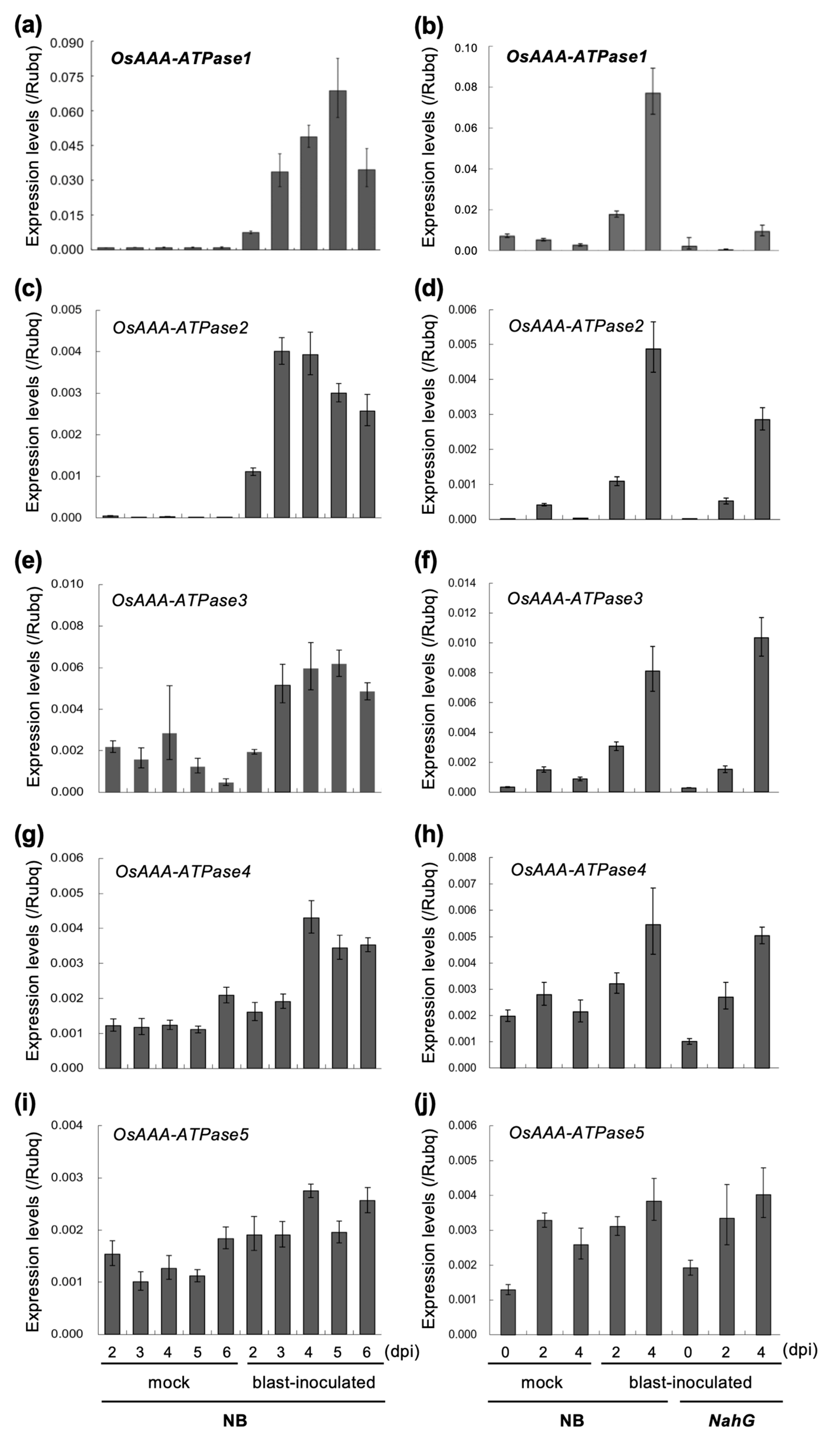 Ijms 21 01443 g003 Ijms 21 01443 g003