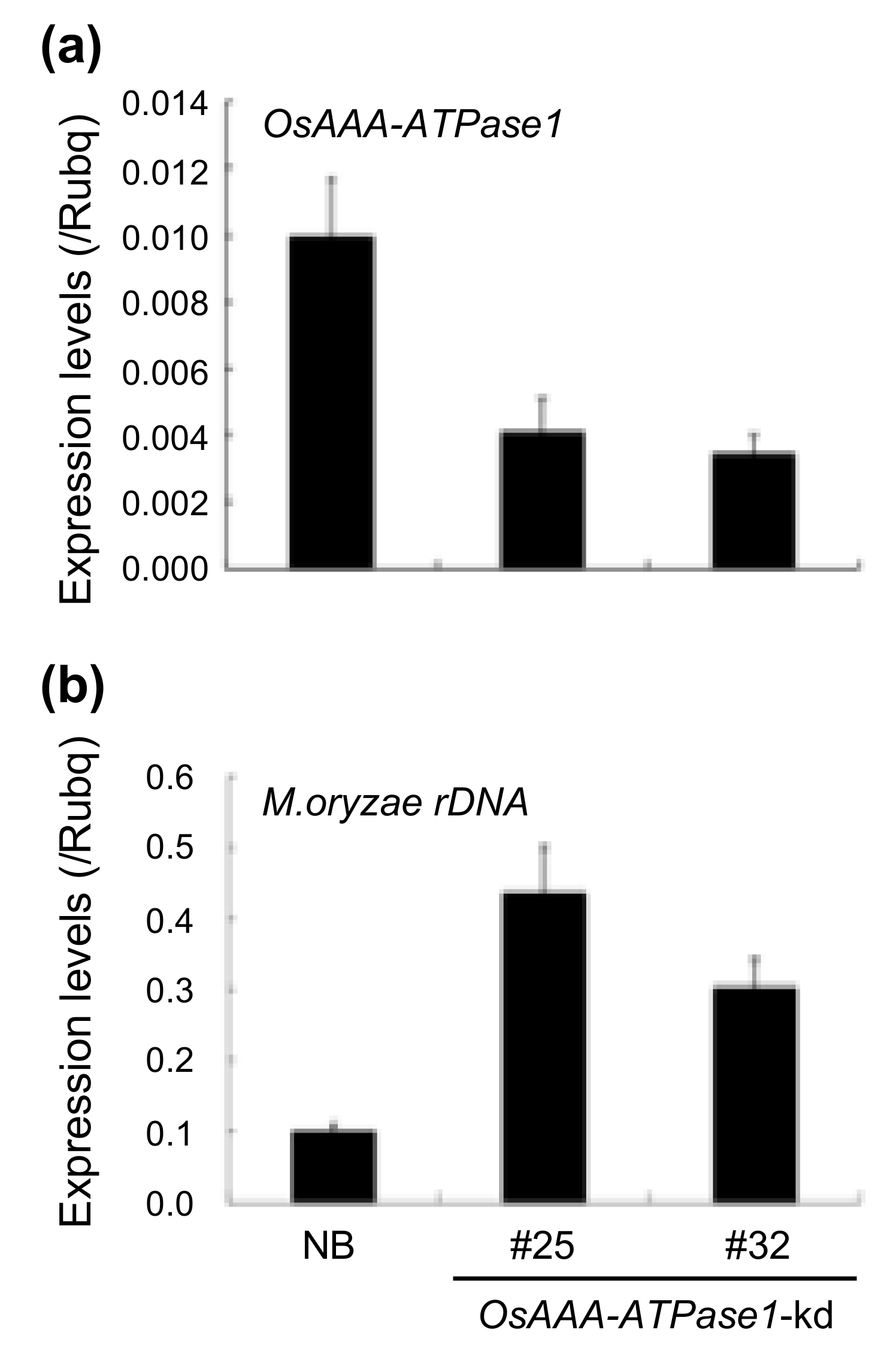 Ijms 21 01443 g005 Ijms 21 01443 g005