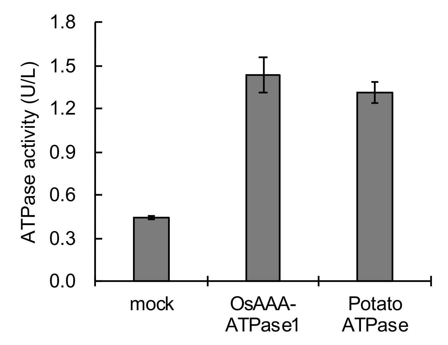 Ijms 21 01443 g006 Ijms 21 01443 g006