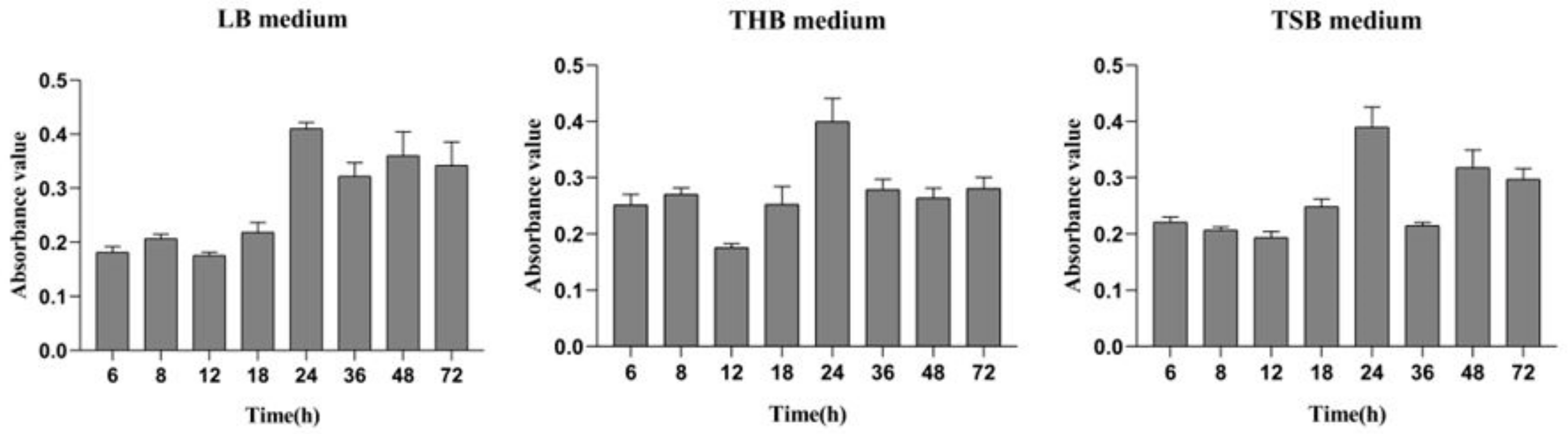 Ijms 21 01450 g001 Ijms 21 01450 g001