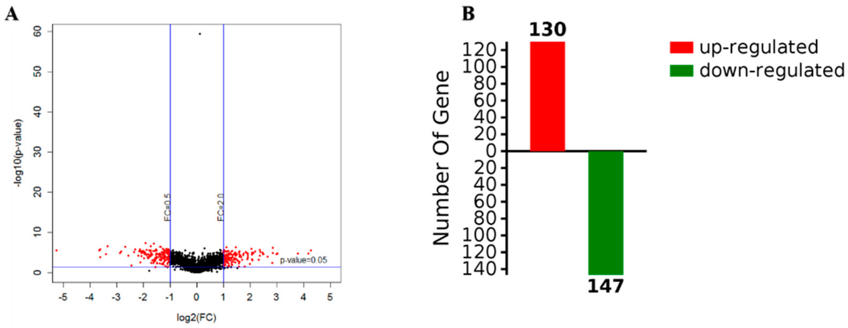 Ijms 21 01450 g004 Ijms 21 01450 g004